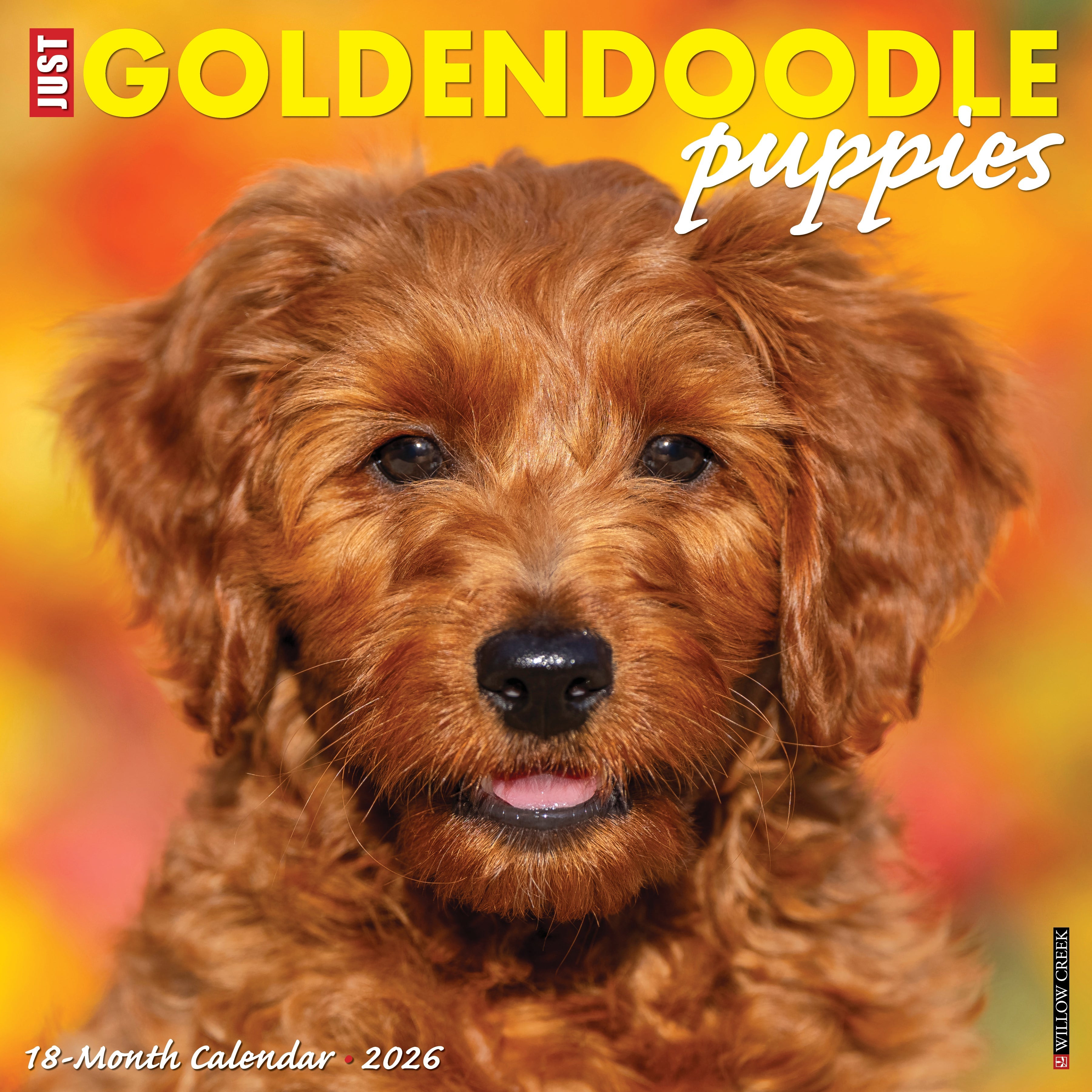 2026 Goldendoodle Puppies - Square Wall Calendar