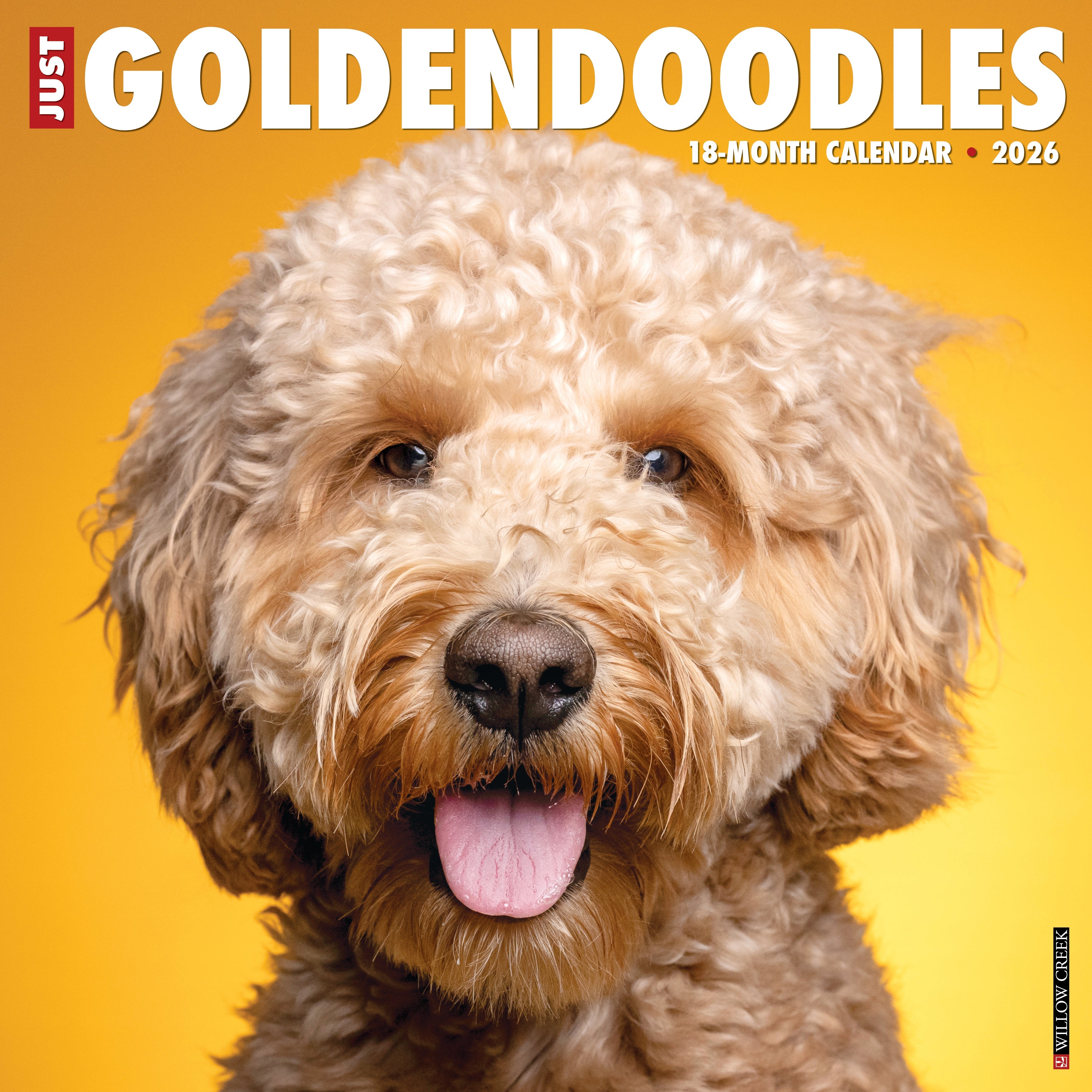 2026 Goldendoodles - Square Wall Calendar