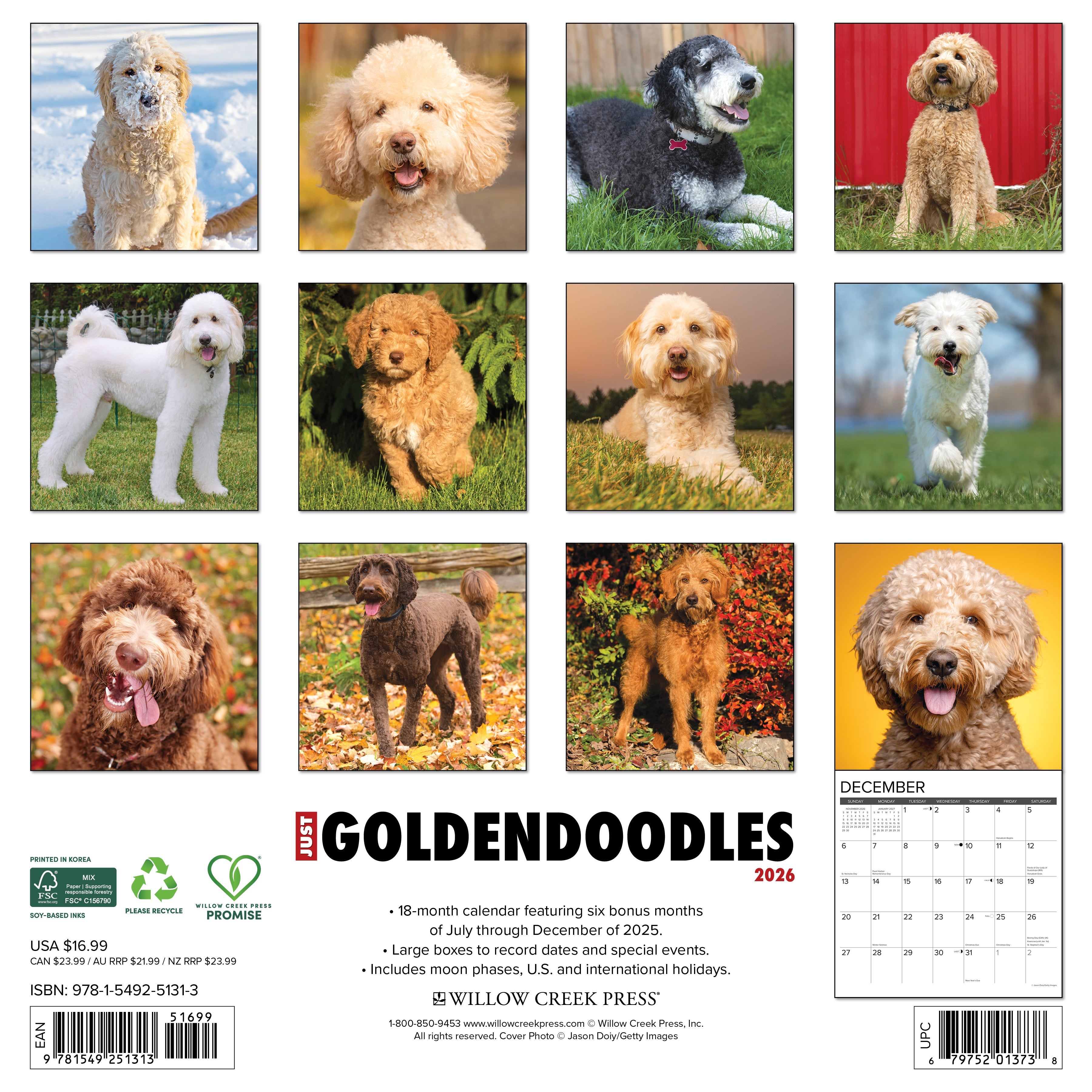 2026 Goldendoodles - Square Wall Calendar