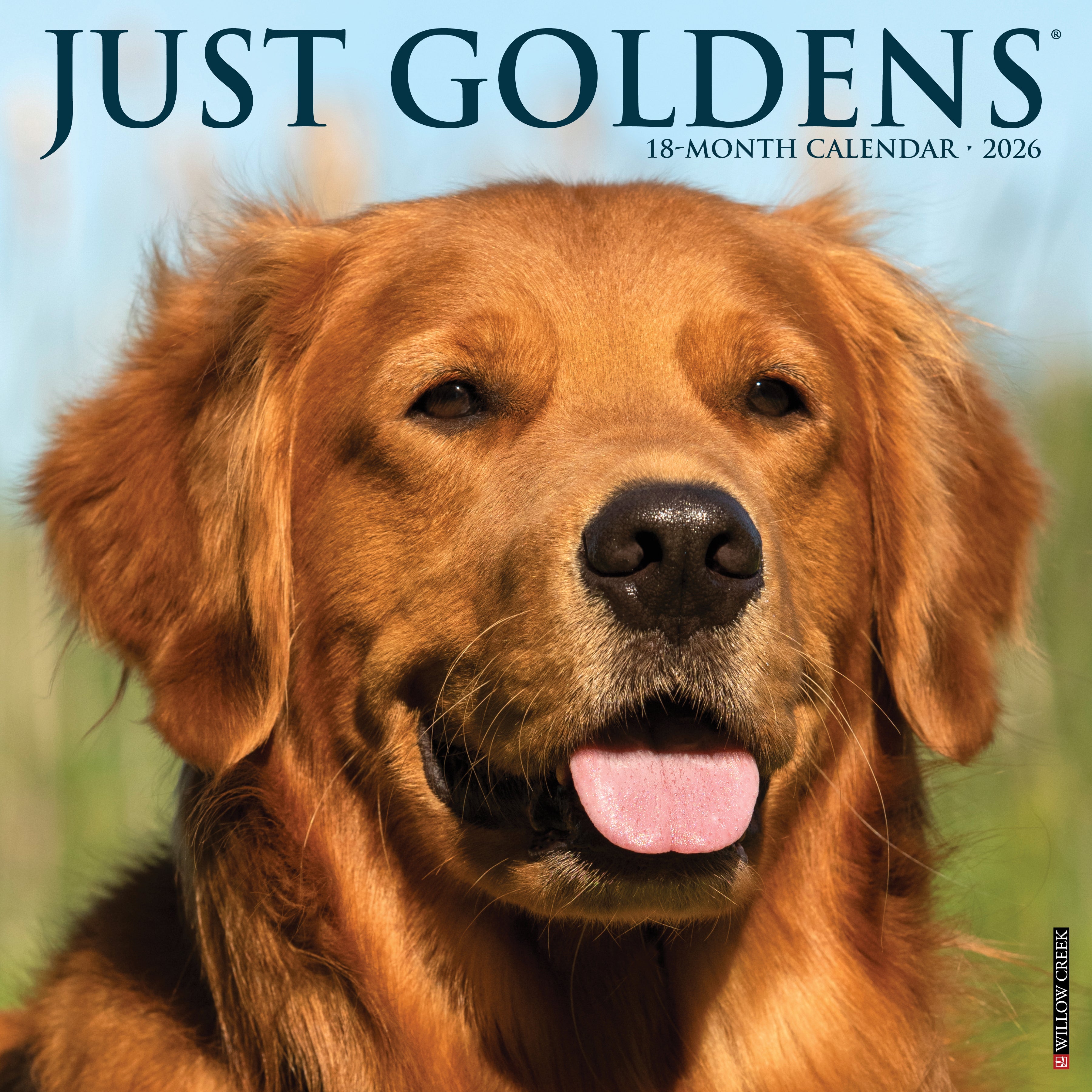 2026 Goldens - Square Wall Calendar