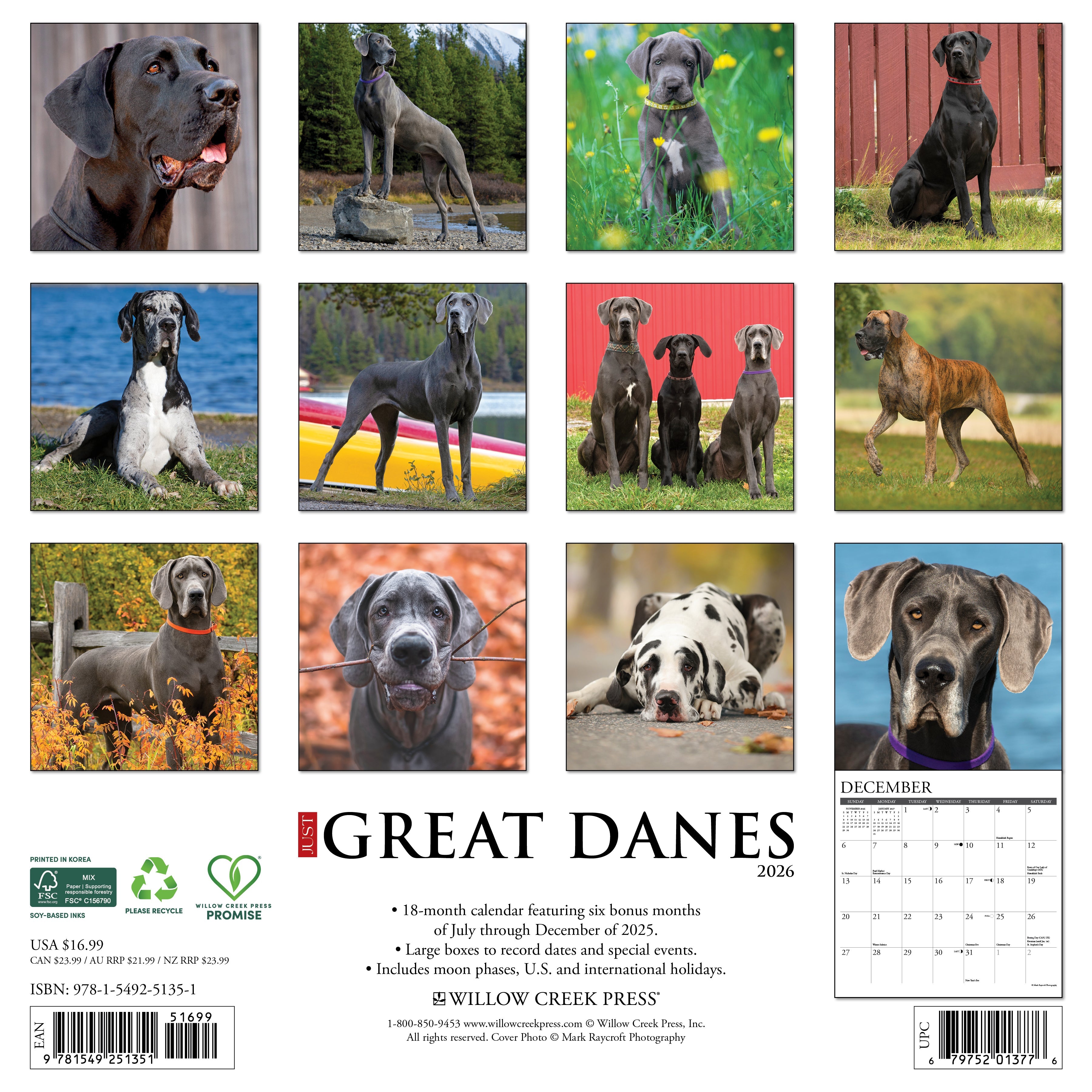 2026 Great Danes - Square Wall Calendar