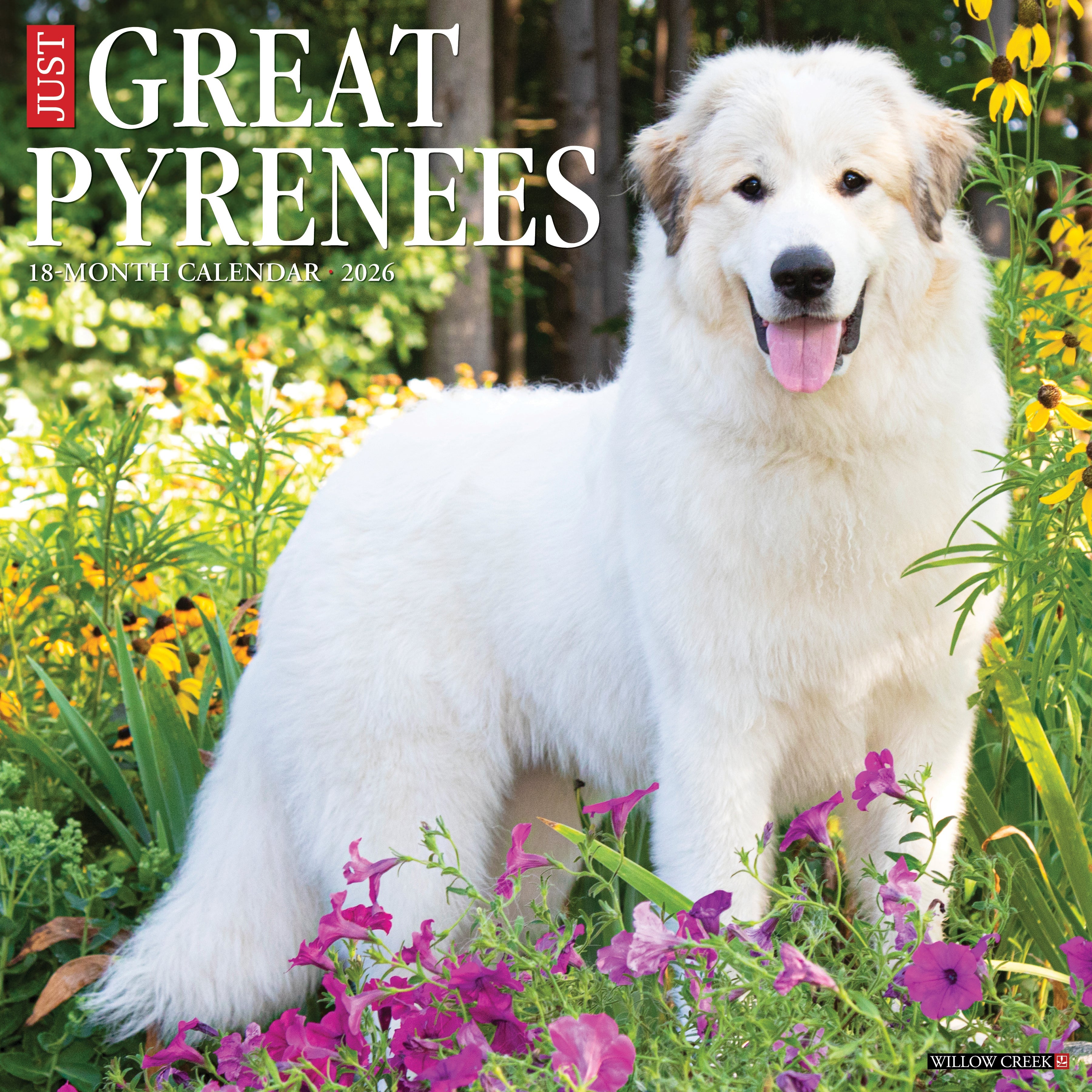 2026 Great Pyrenees - Square Wall Calendar