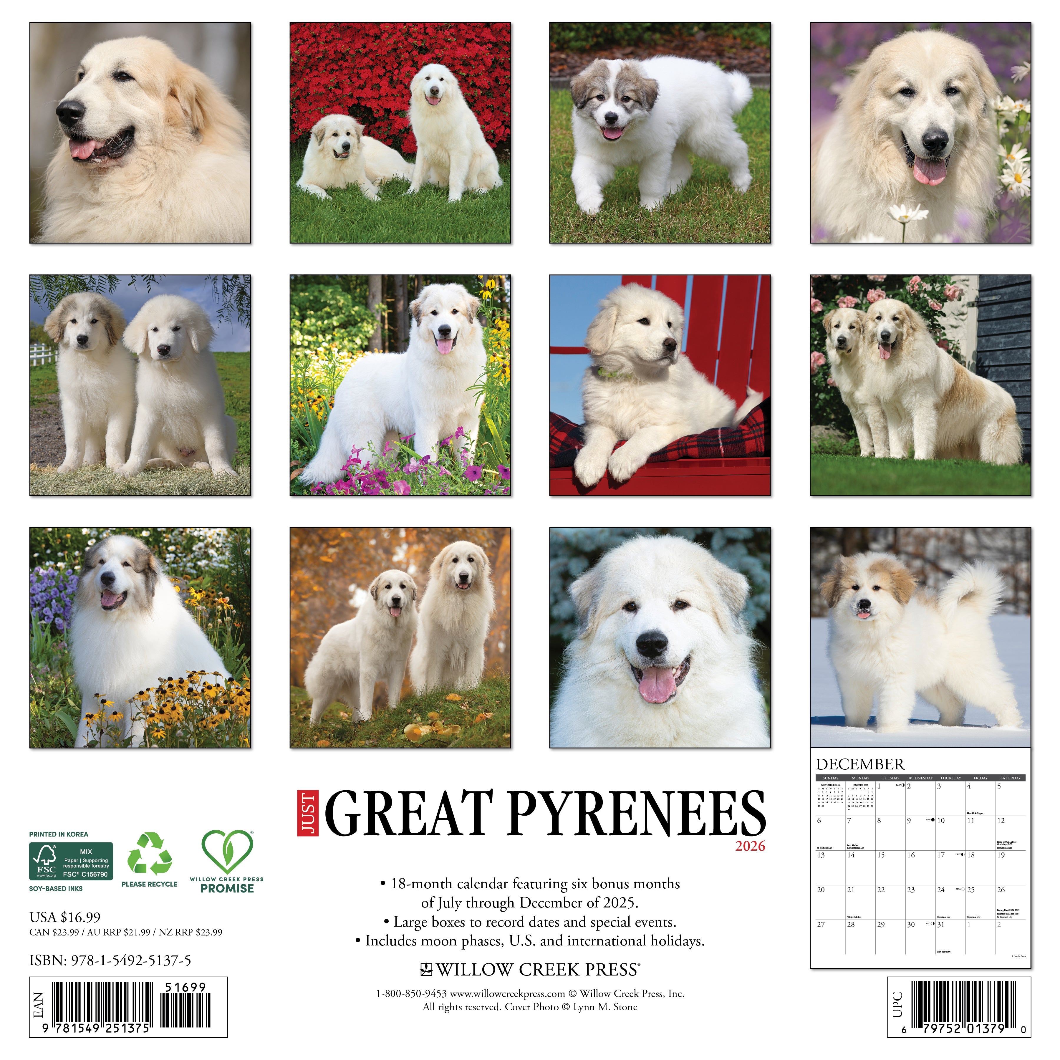 2026 Great Pyrenees - Square Wall Calendar