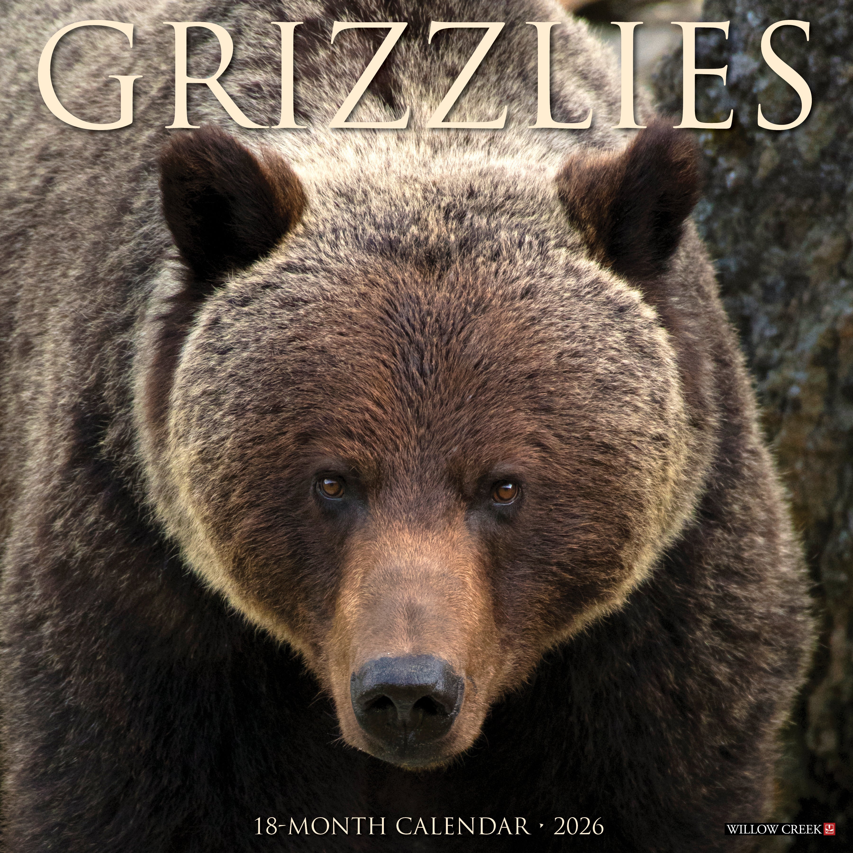 2026 Grizzlies - Square Wall Calendar
