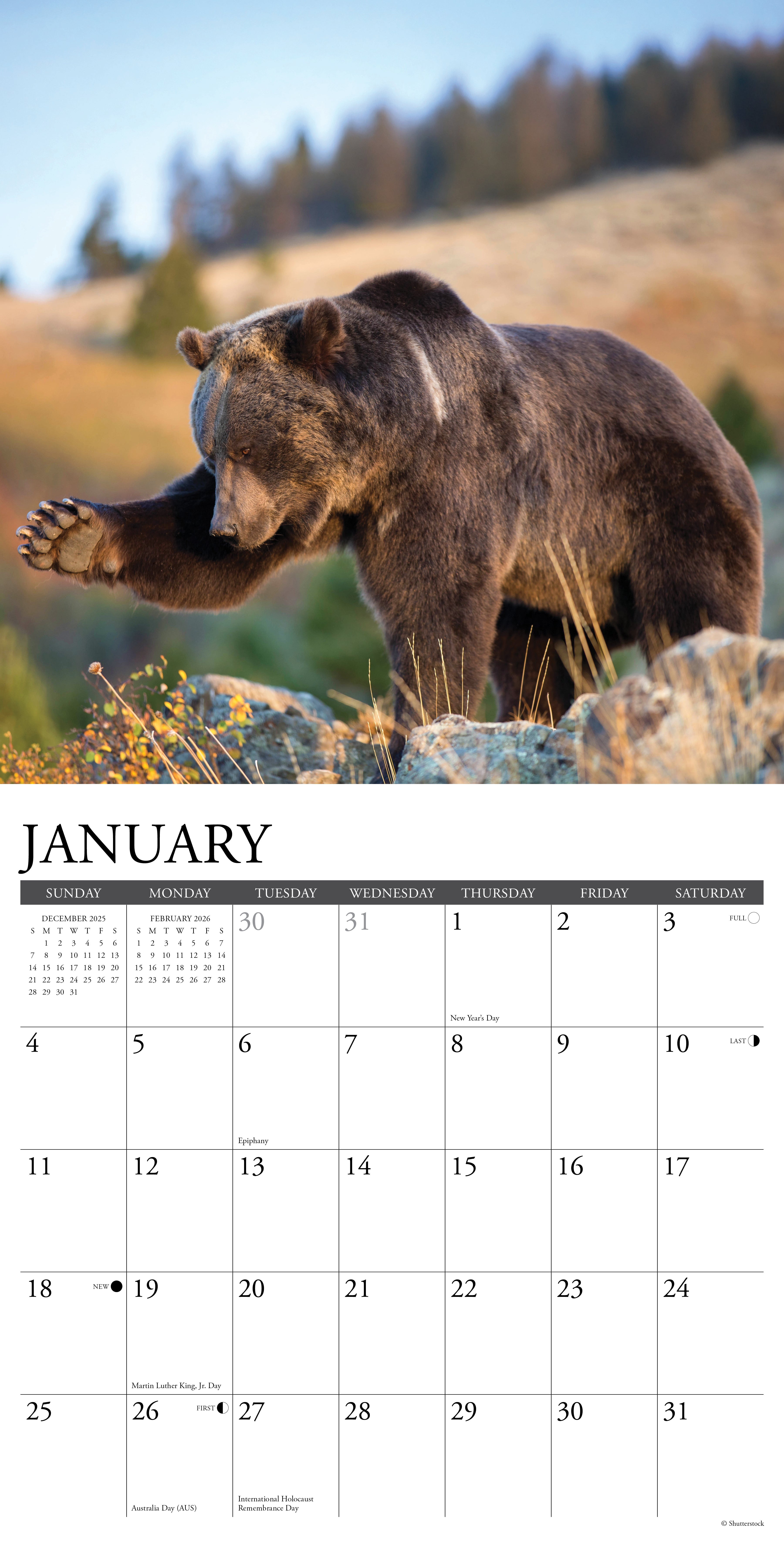 2026 Grizzlies - Square Wall Calendar