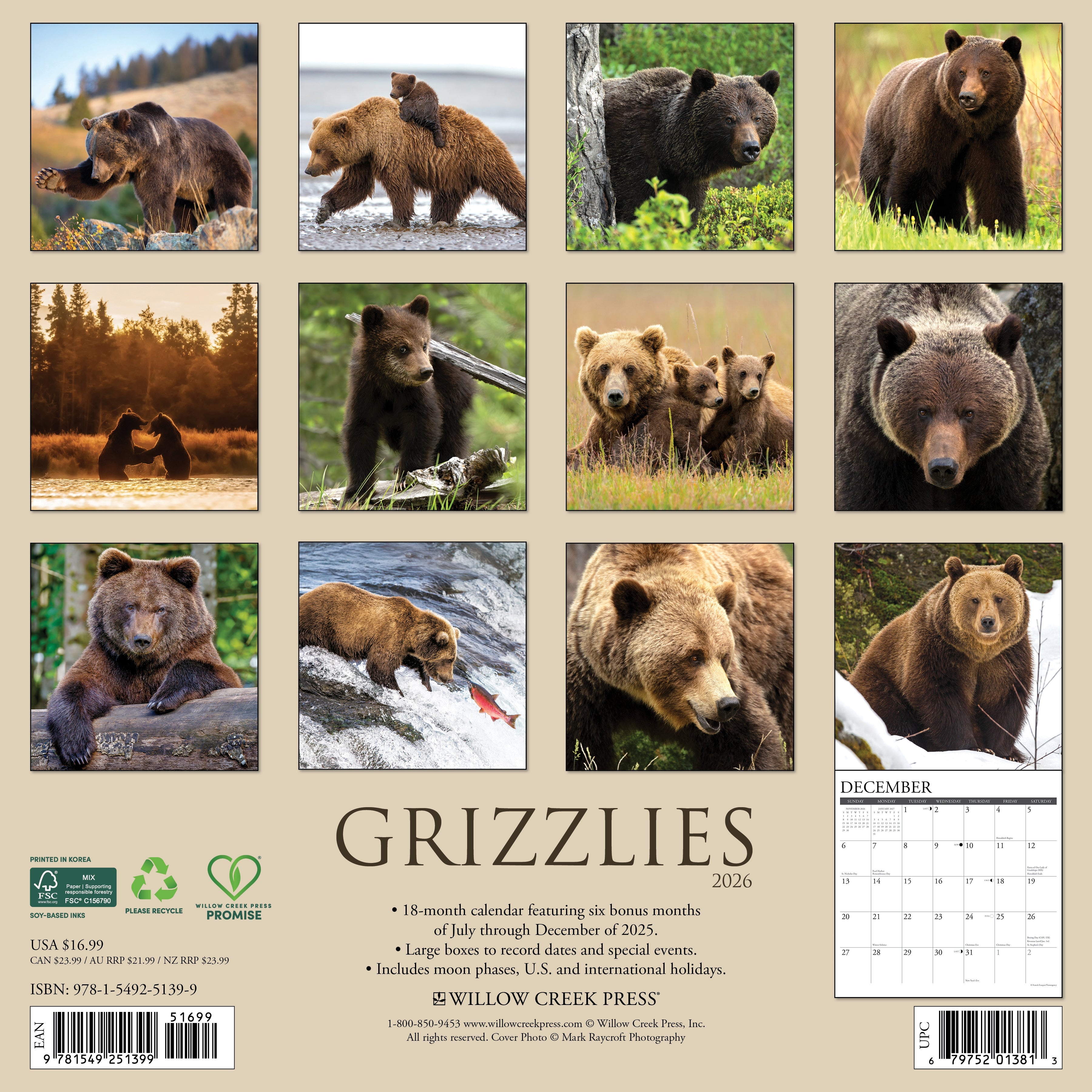 2026 Grizzlies - Square Wall Calendar