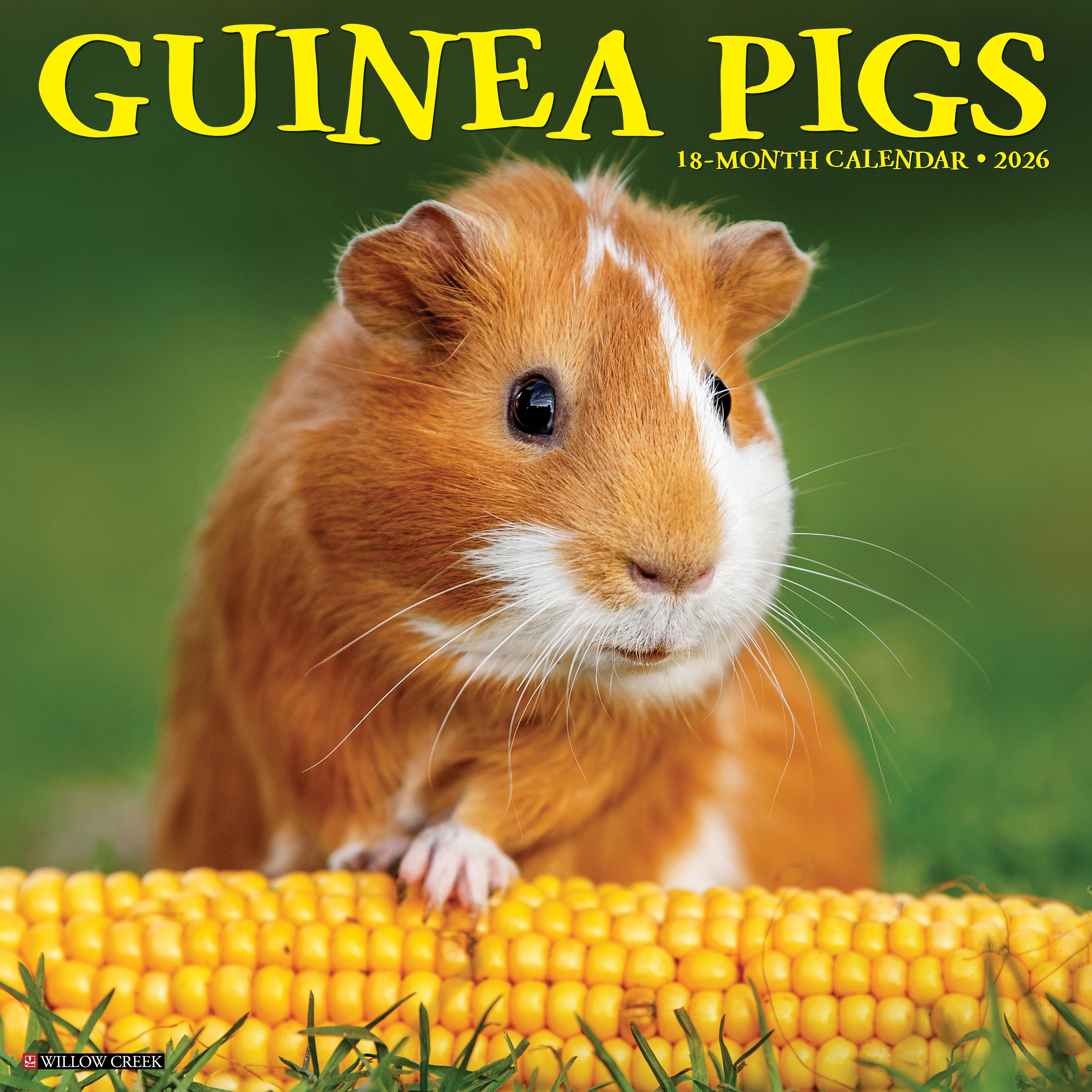 2026 Guinea Pigs - Square Wall Calendar