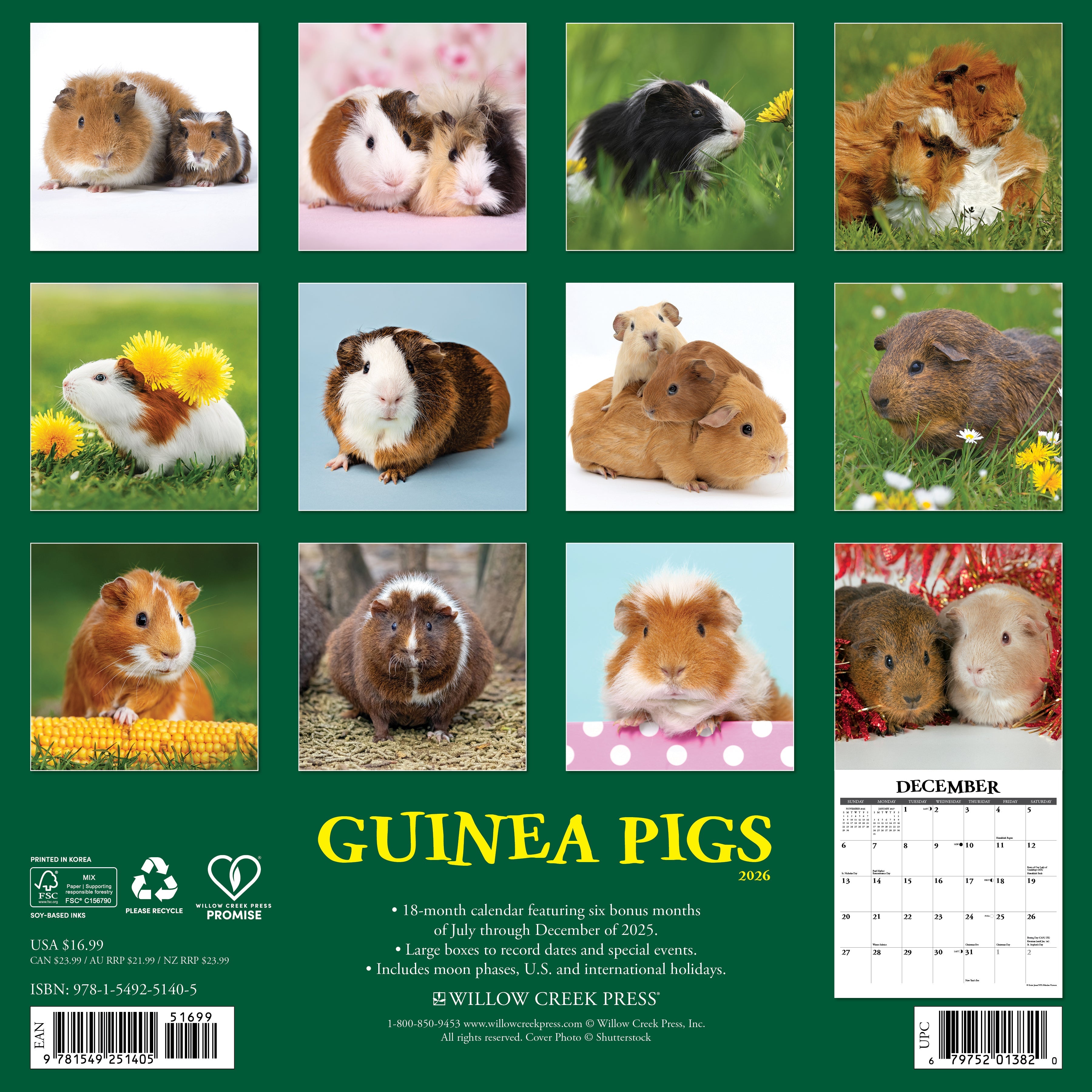 2026 Guinea Pigs - Square Wall Calendar
