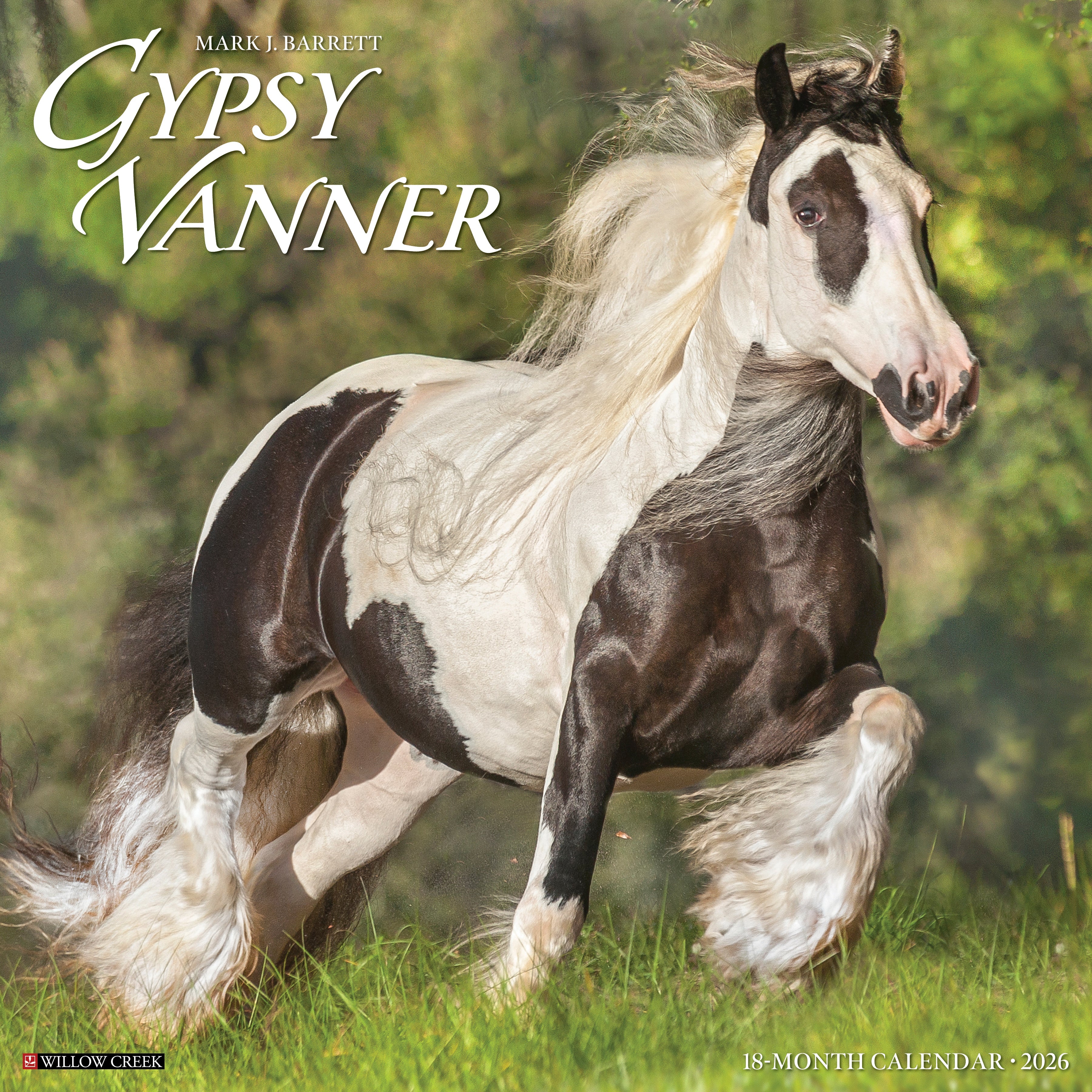 2026 Gypsy Vanner - Square Wall Calendar