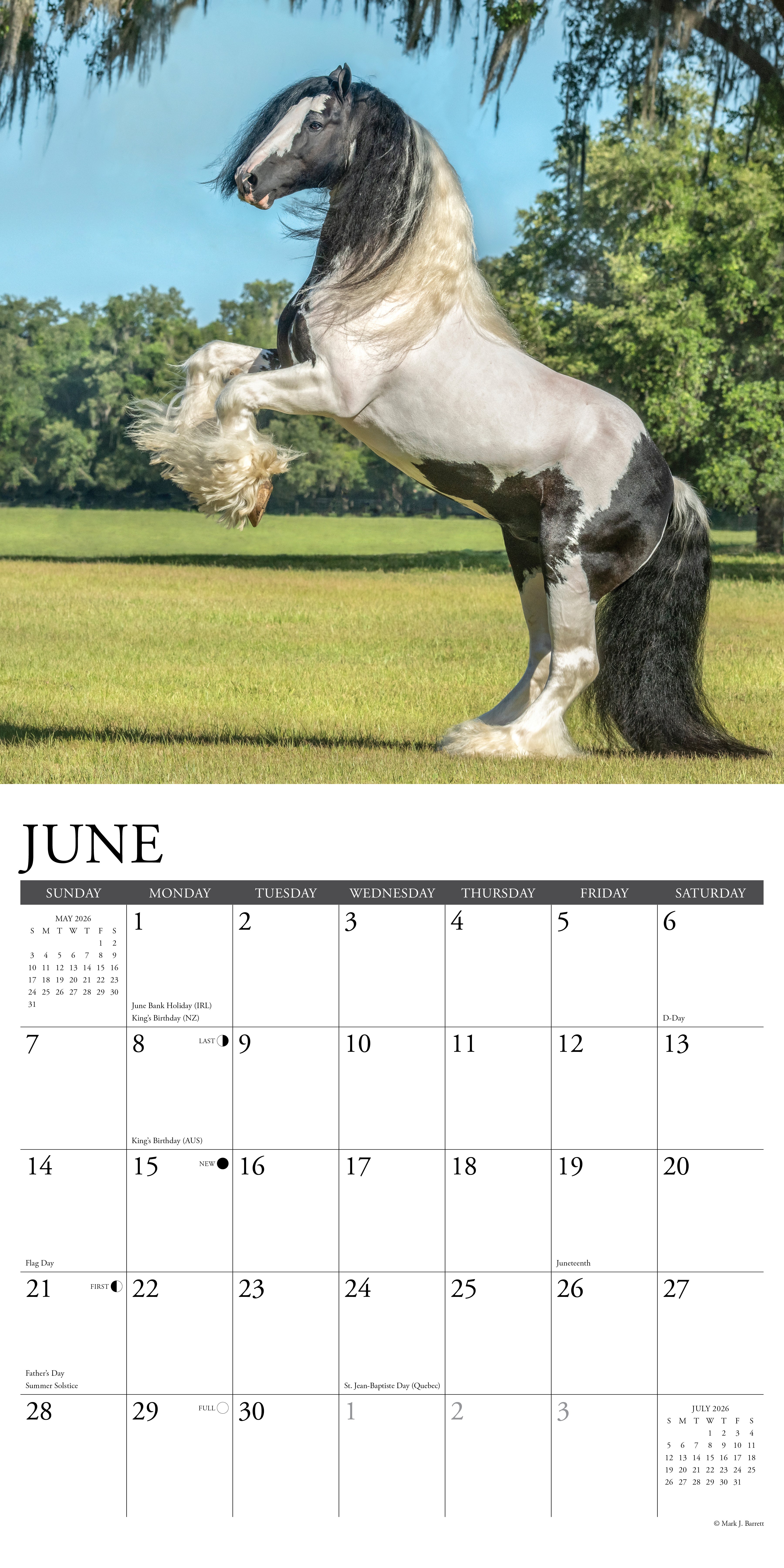 2026 Gypsy Vanner - Square Wall Calendar