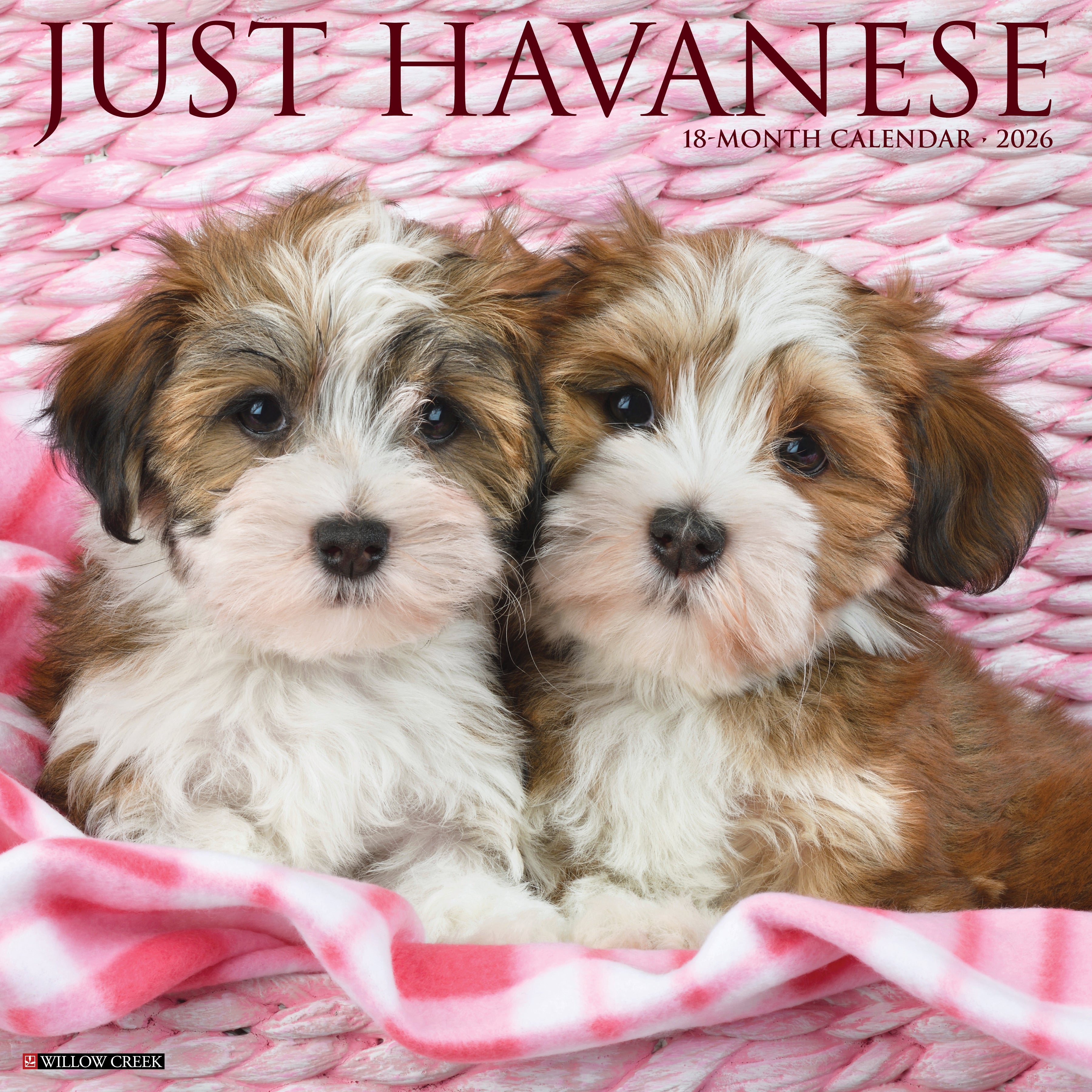 2026 Havanese - Square Wall Calendar