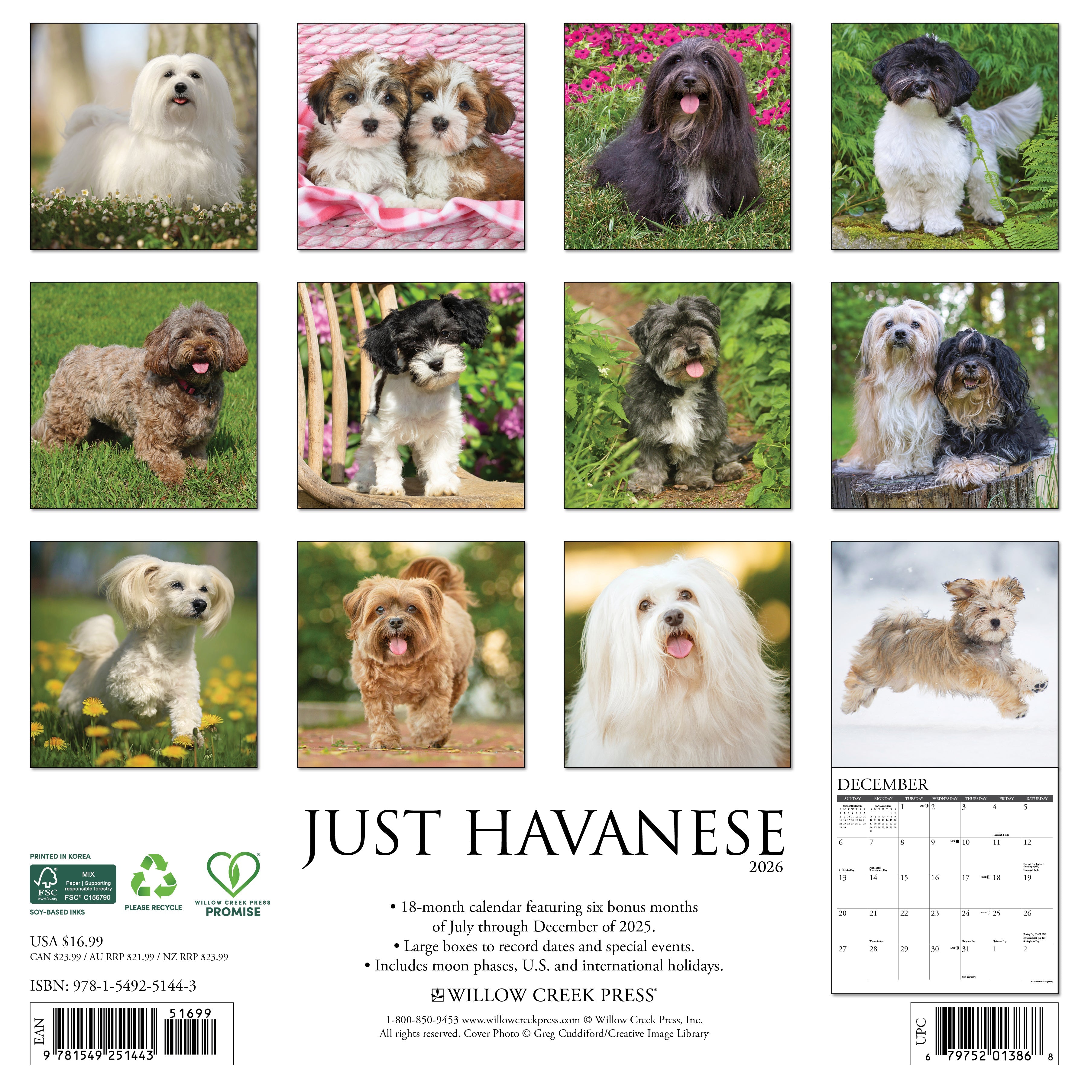 2026 Havanese - Square Wall Calendar