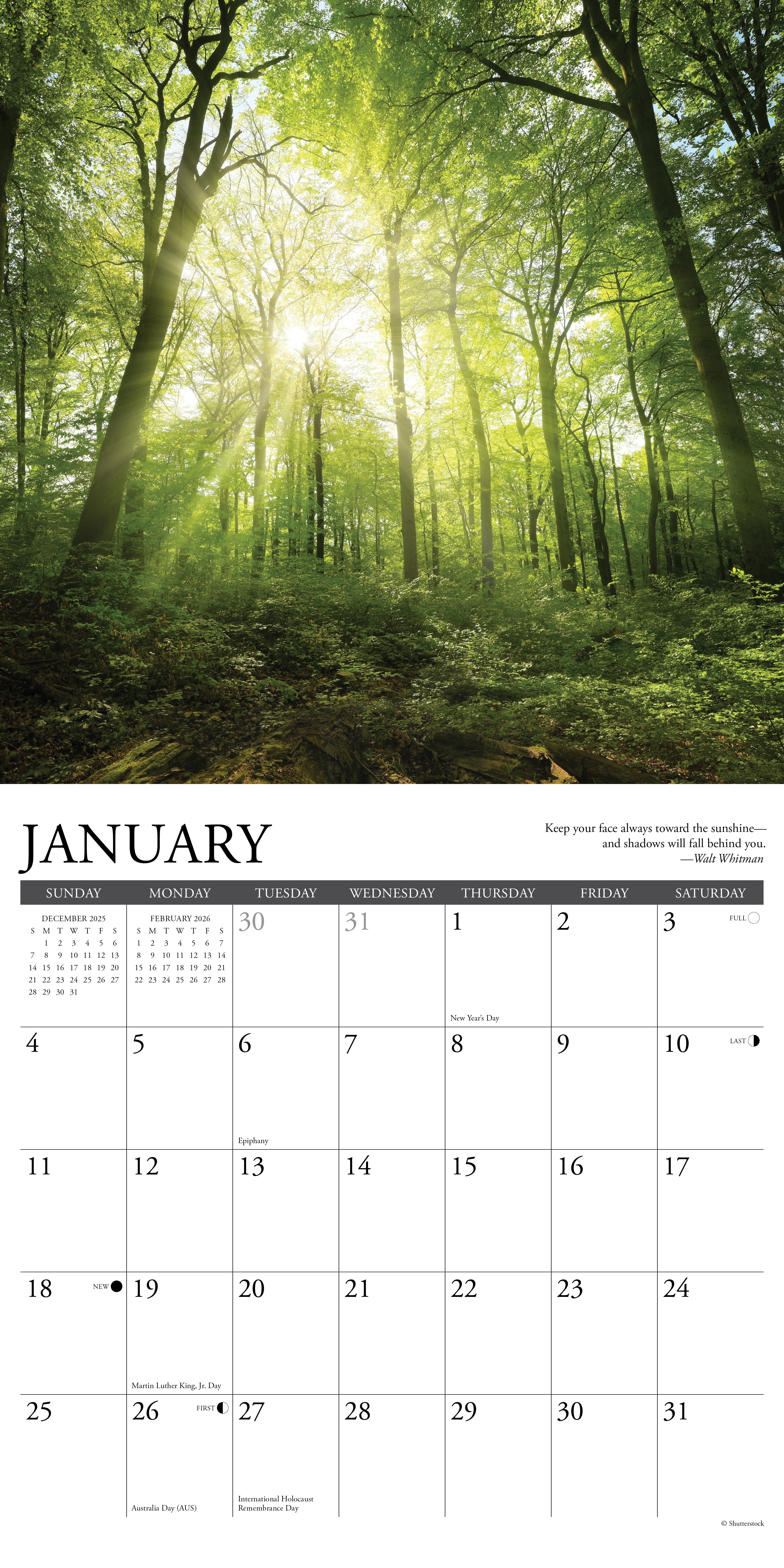 2026 Heaven Has a Forest - Square Wall Calendar