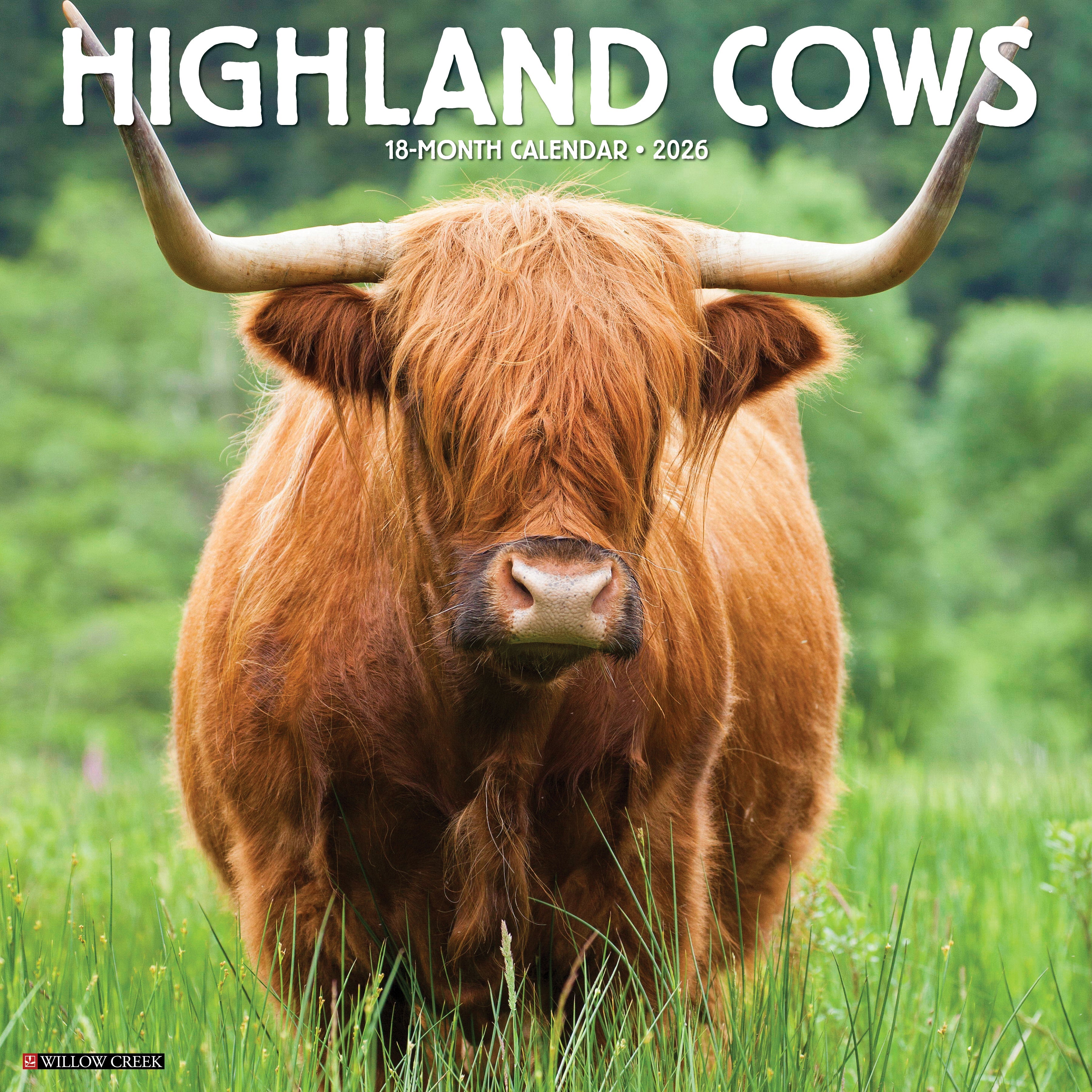 2026 Highland Cows - Square Wall Calendar