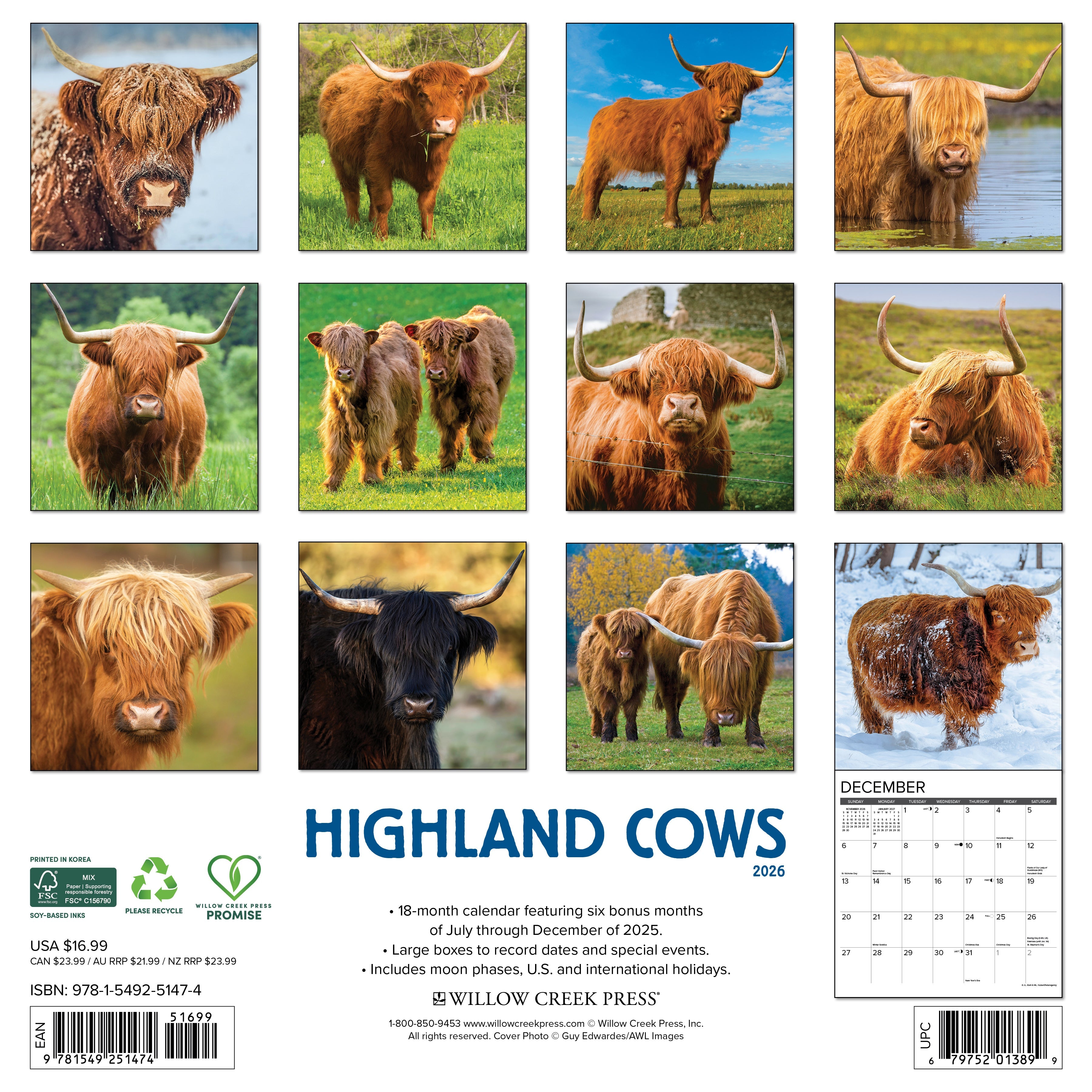2026 Highland Cows - Square Wall Calendar
