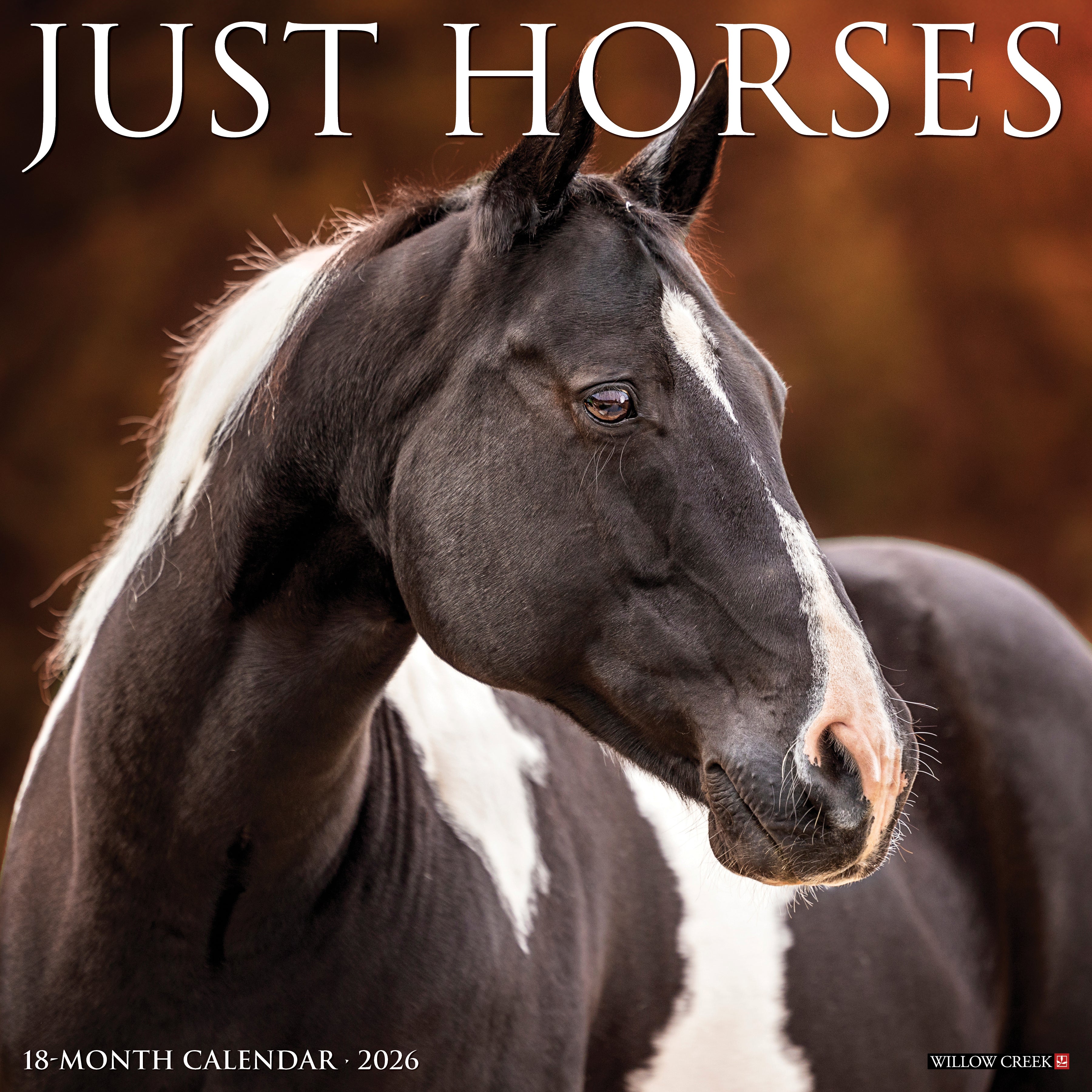 2026 Horses - Square Wall Calendar