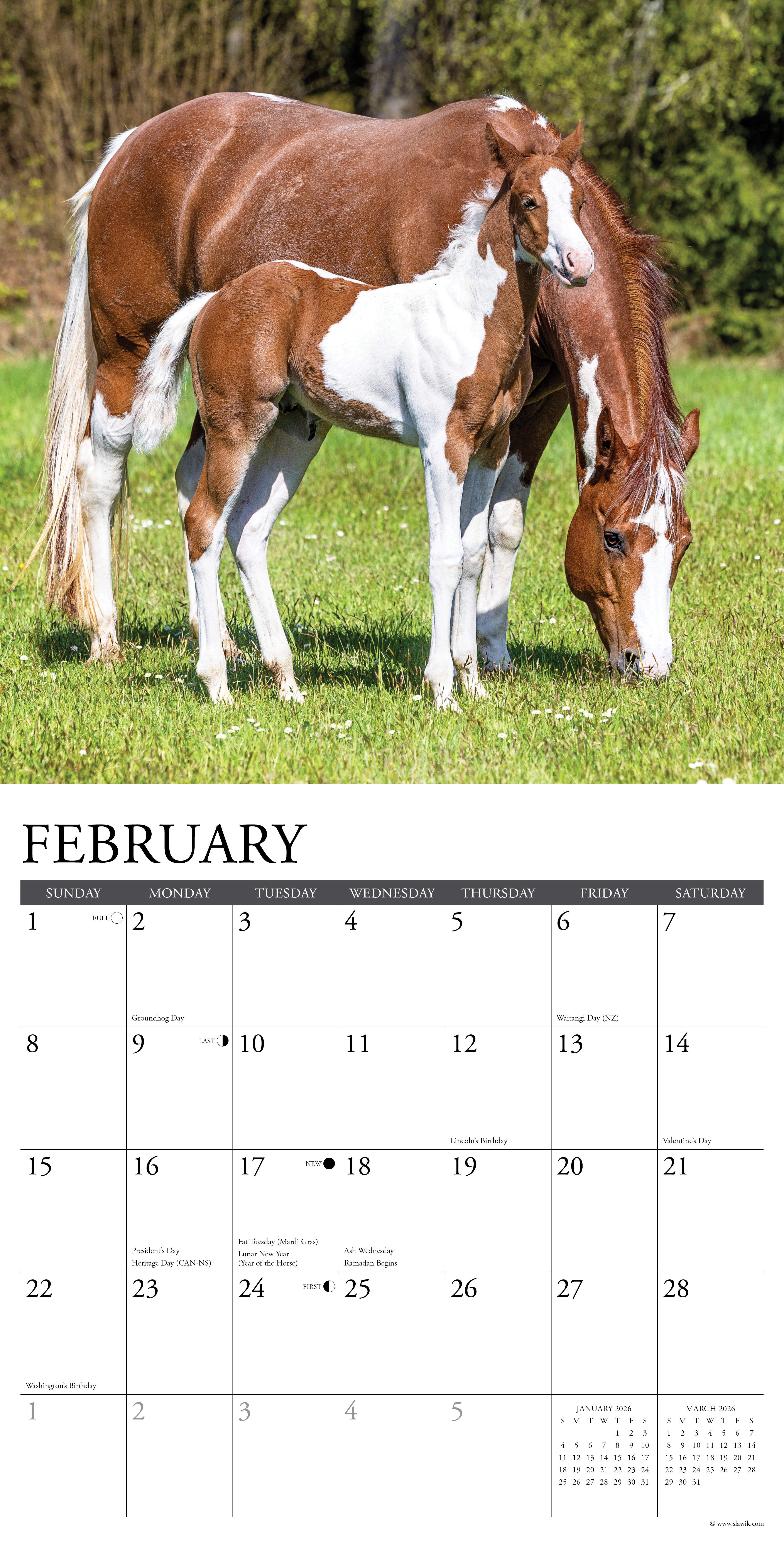 2026 Horses - Square Wall Calendar
