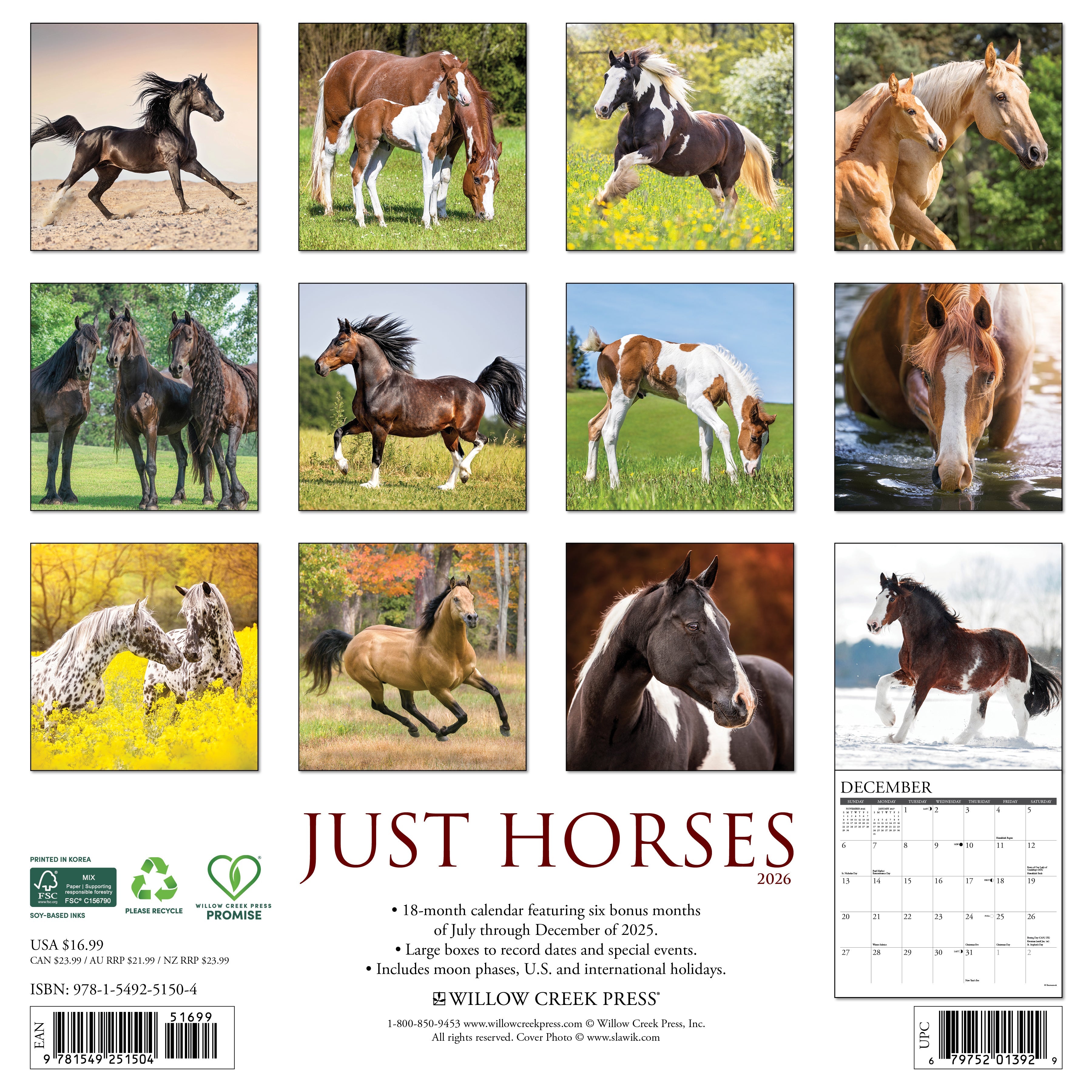 2026 Horses - Square Wall Calendar