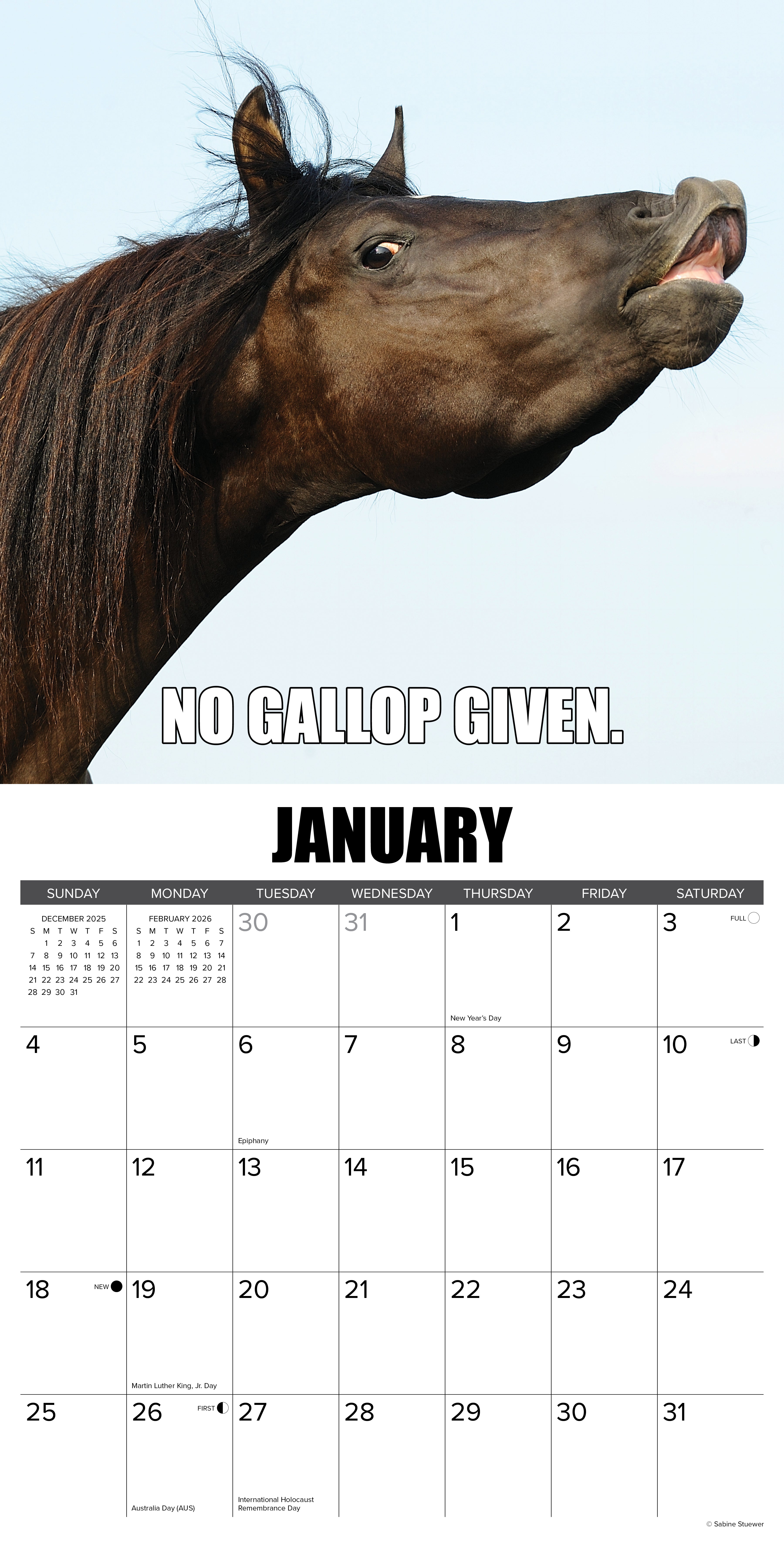 2026 Horsin’ Around - Square Wall Calendar