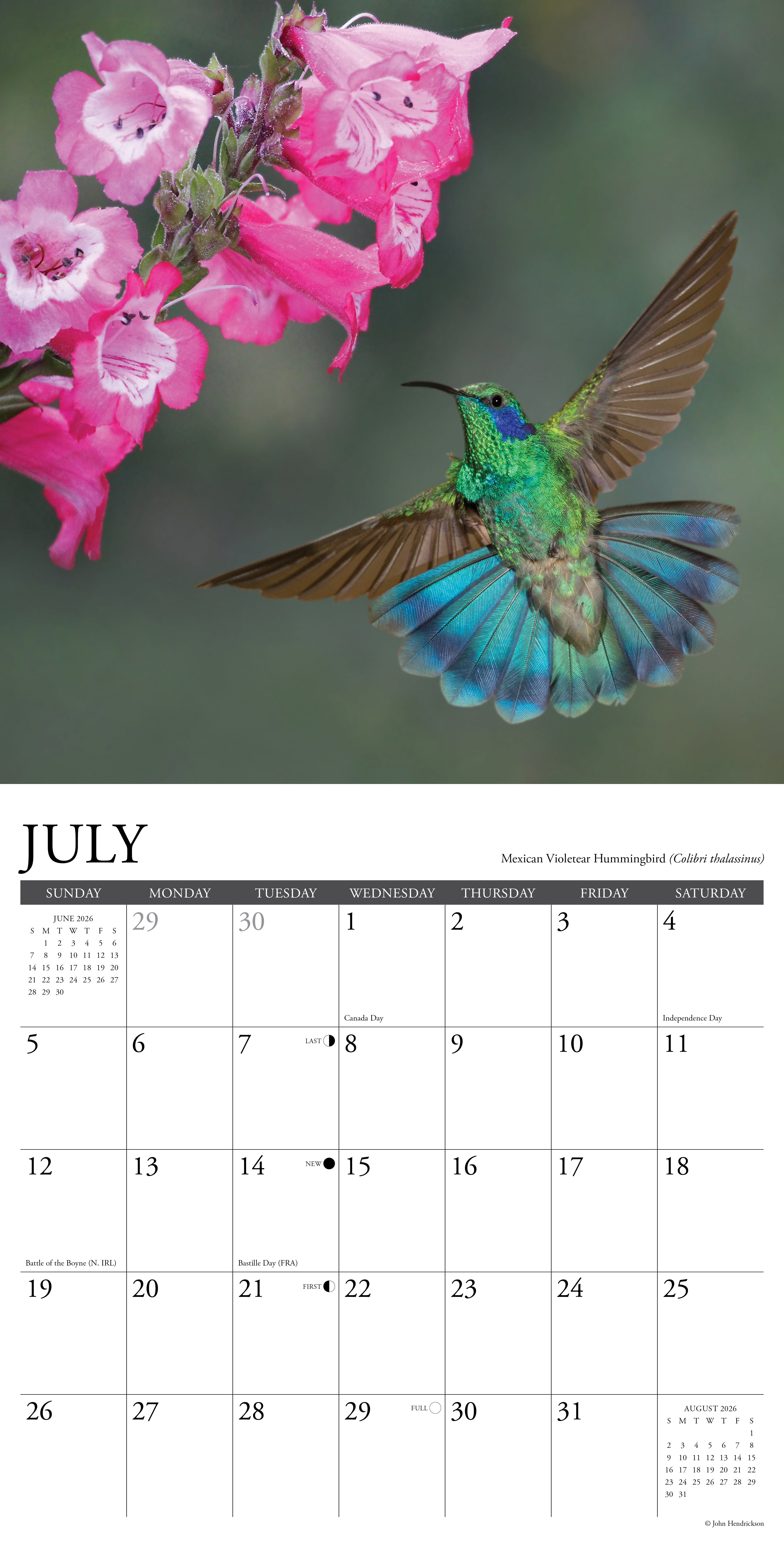 2026 Hummingbirds - Square Wall Calendar
