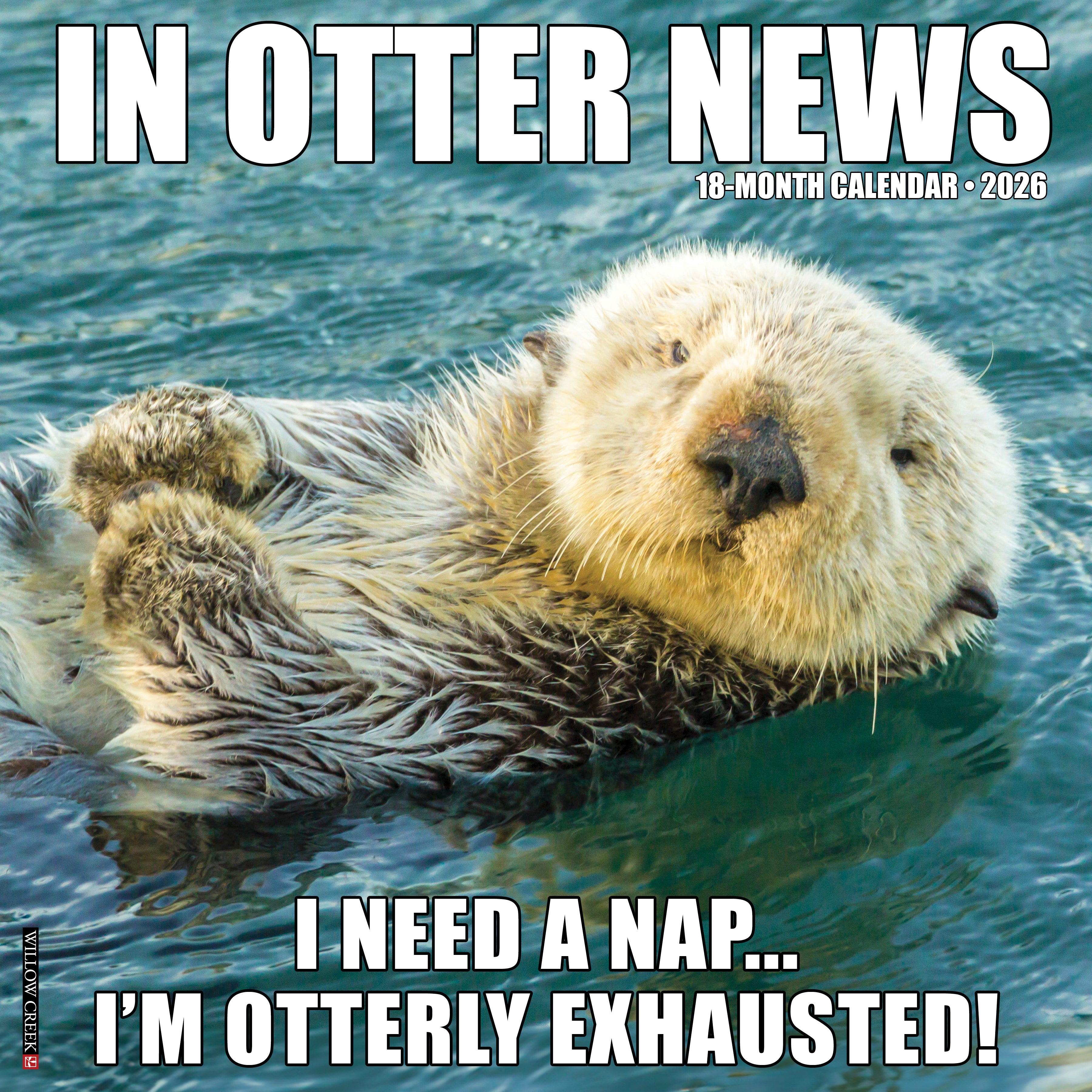 2026 In Otter News - Square Wall Calendar