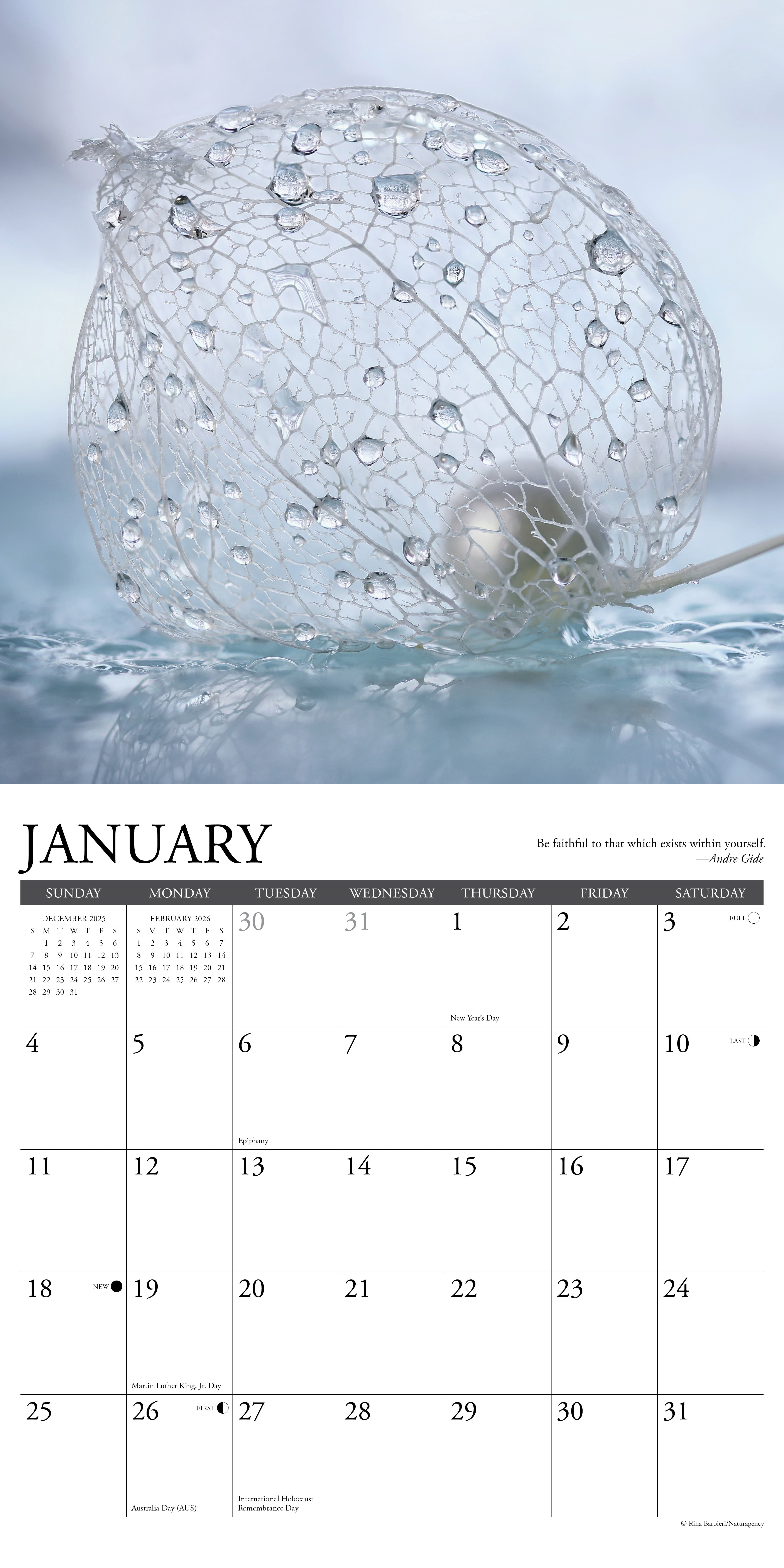 2026 Inspirations - Square Wall Calendar