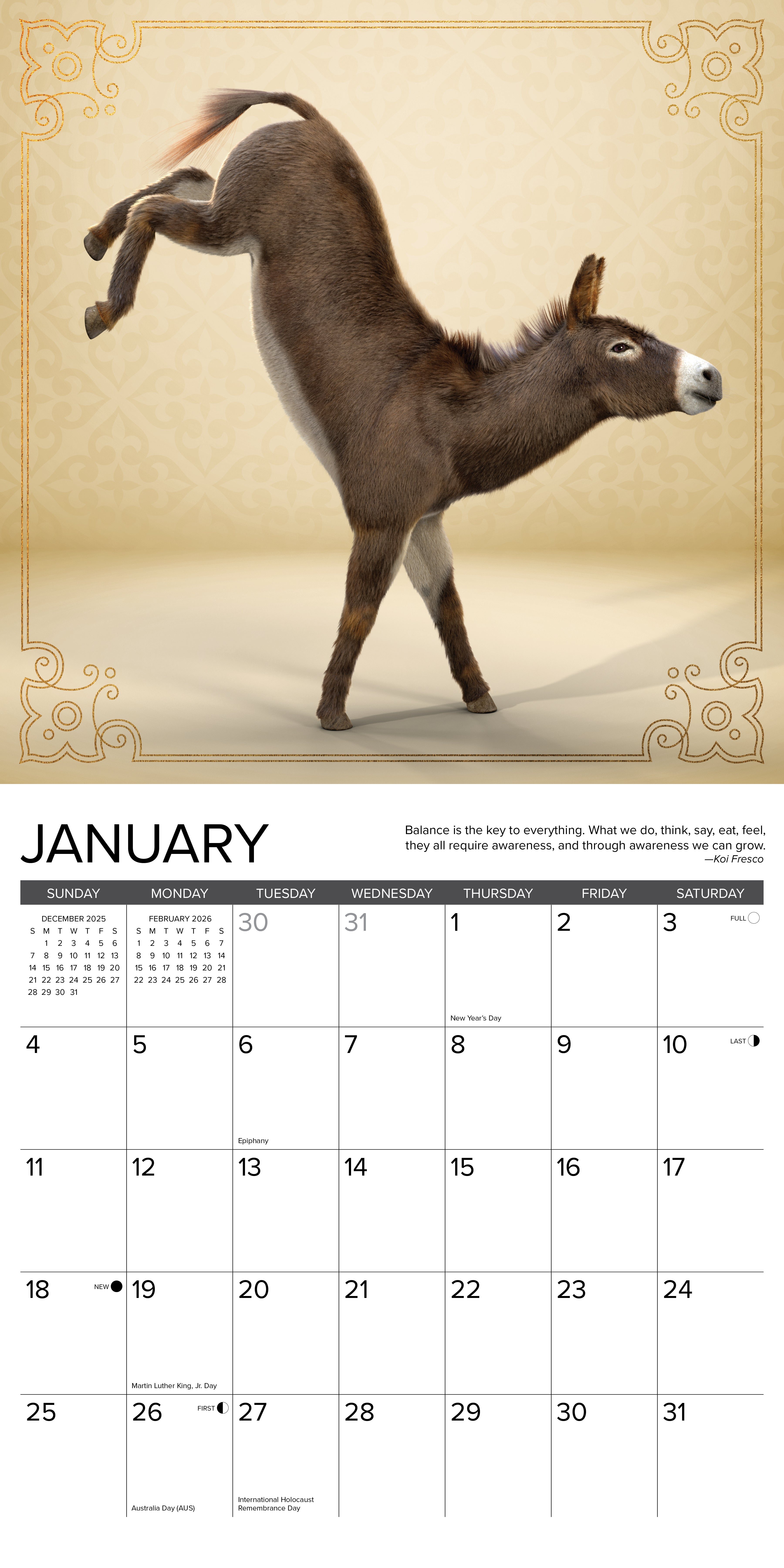 2026 Jackass Yoga - Square Wall Calendar