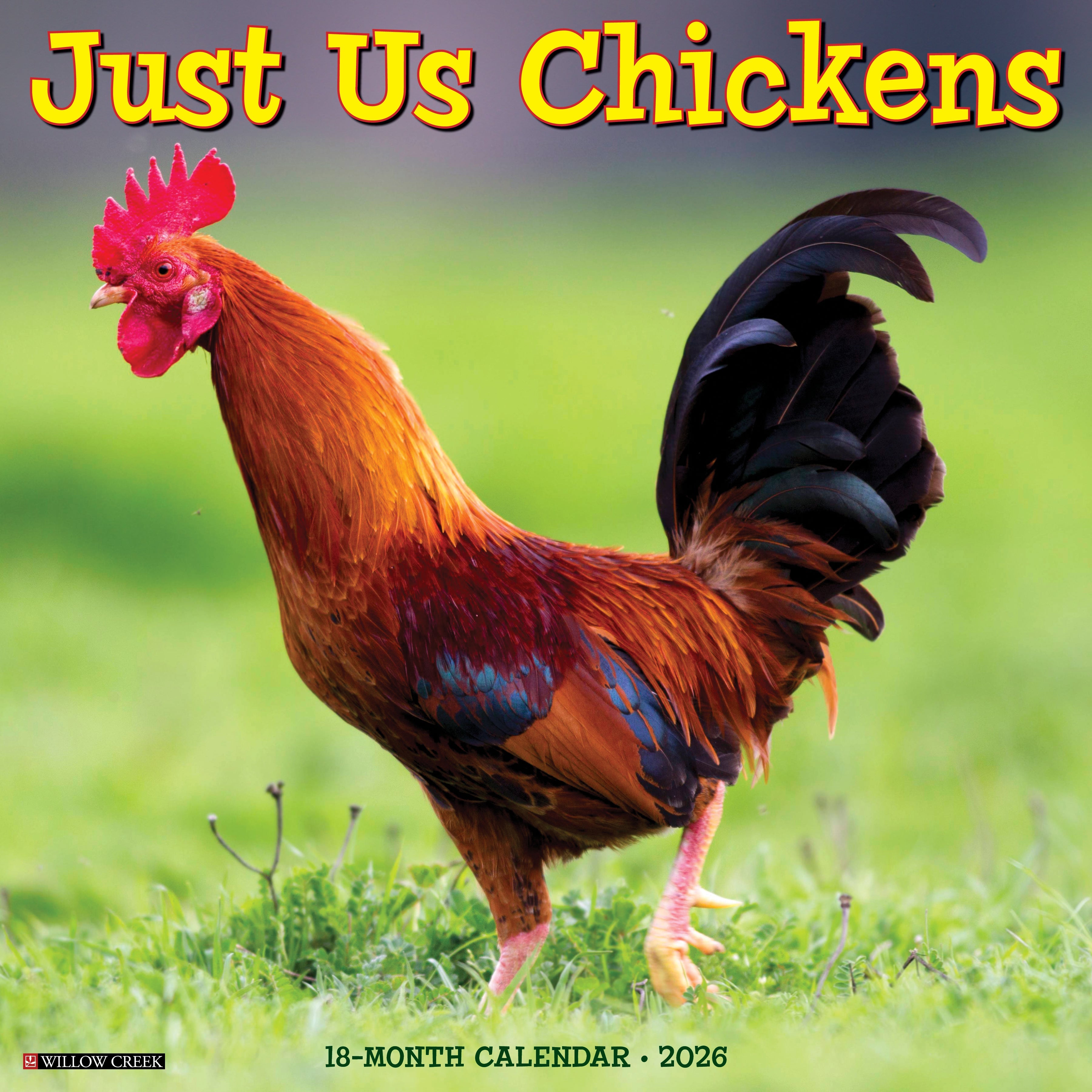 2026 Just Us Chickens - Square Wall Calendar