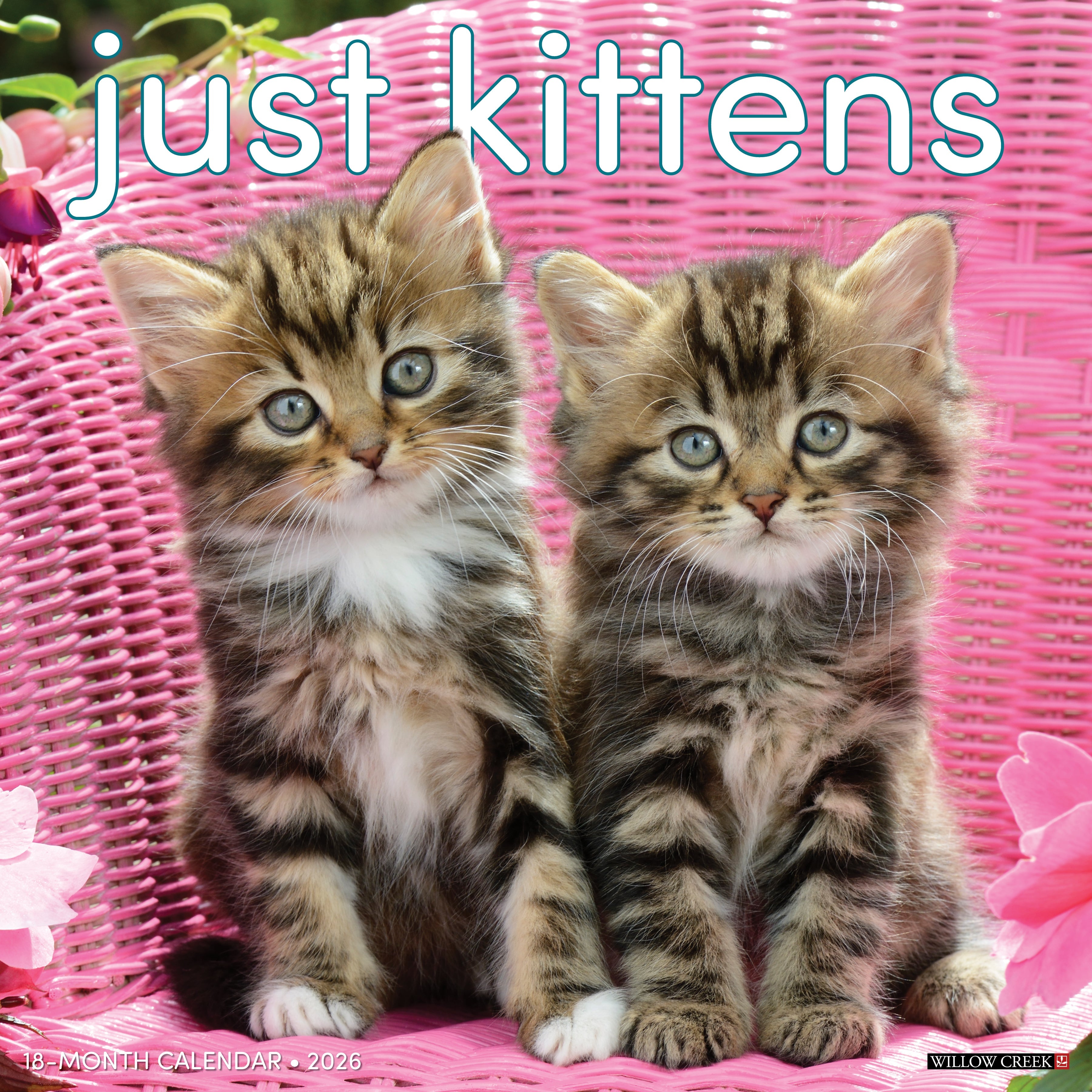 2026 Kittens - Square Wall Calendar