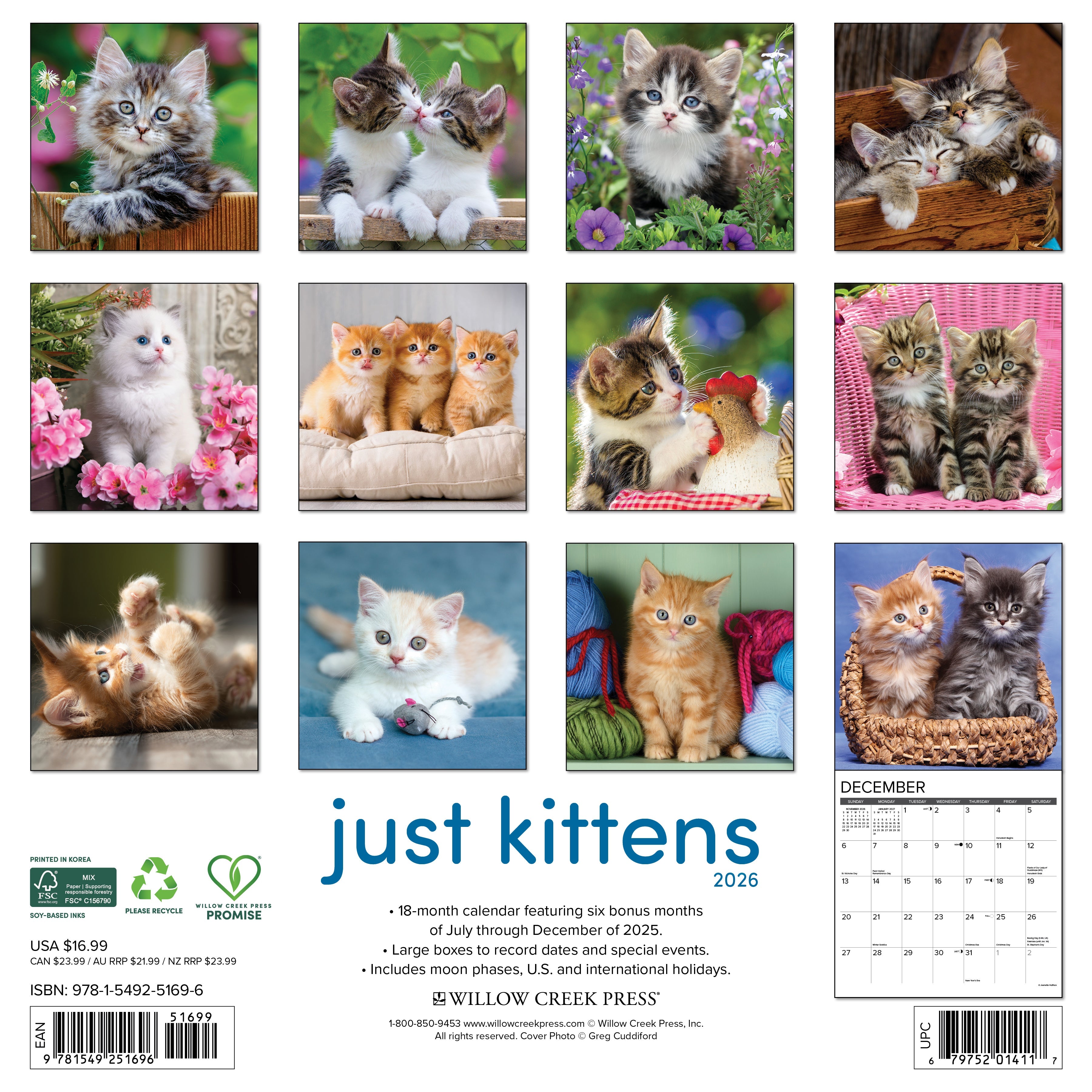 2026 Kittens - Square Wall Calendar