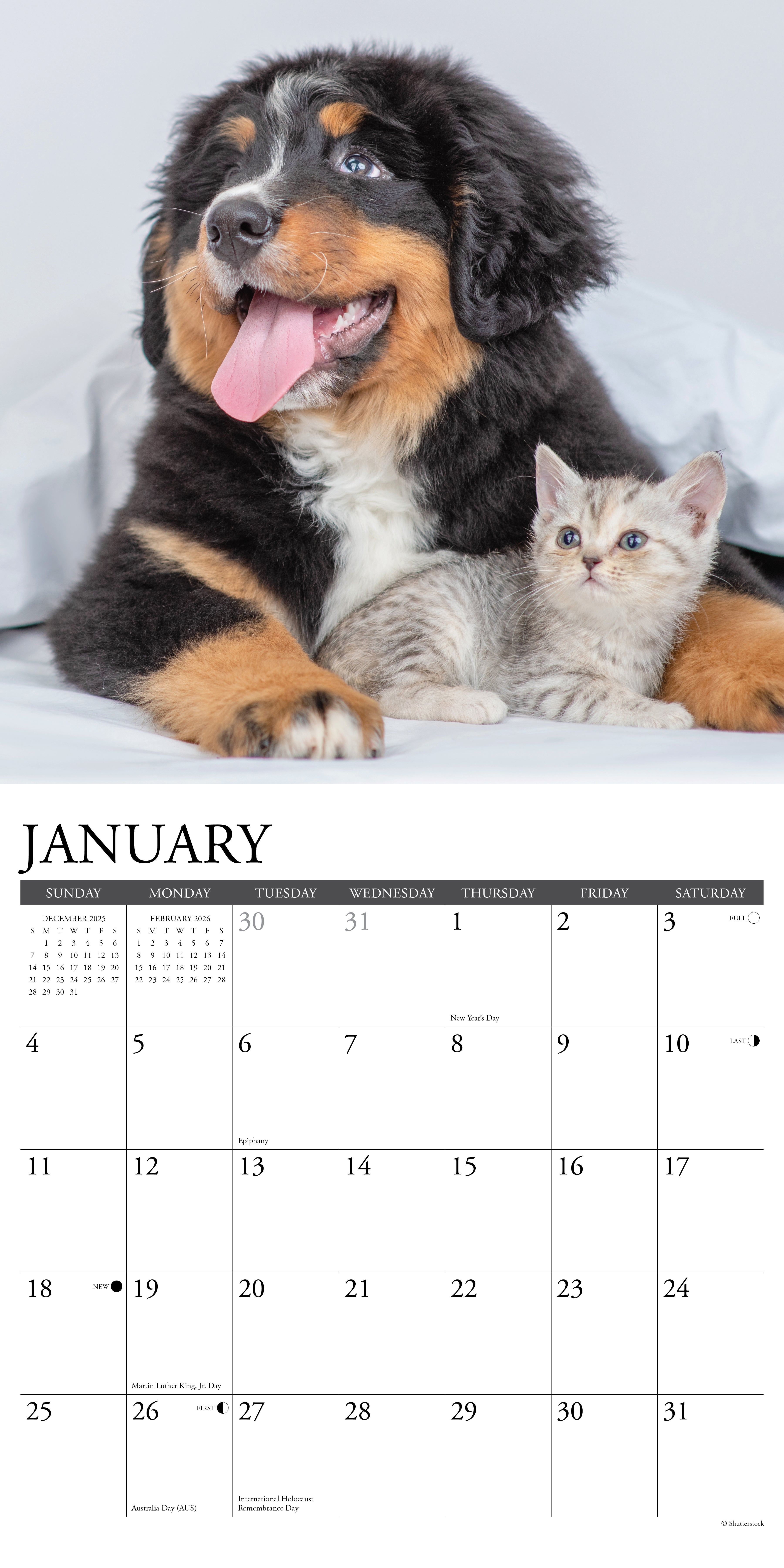 2026 Kittens & Puppies - Square Wall Calendar