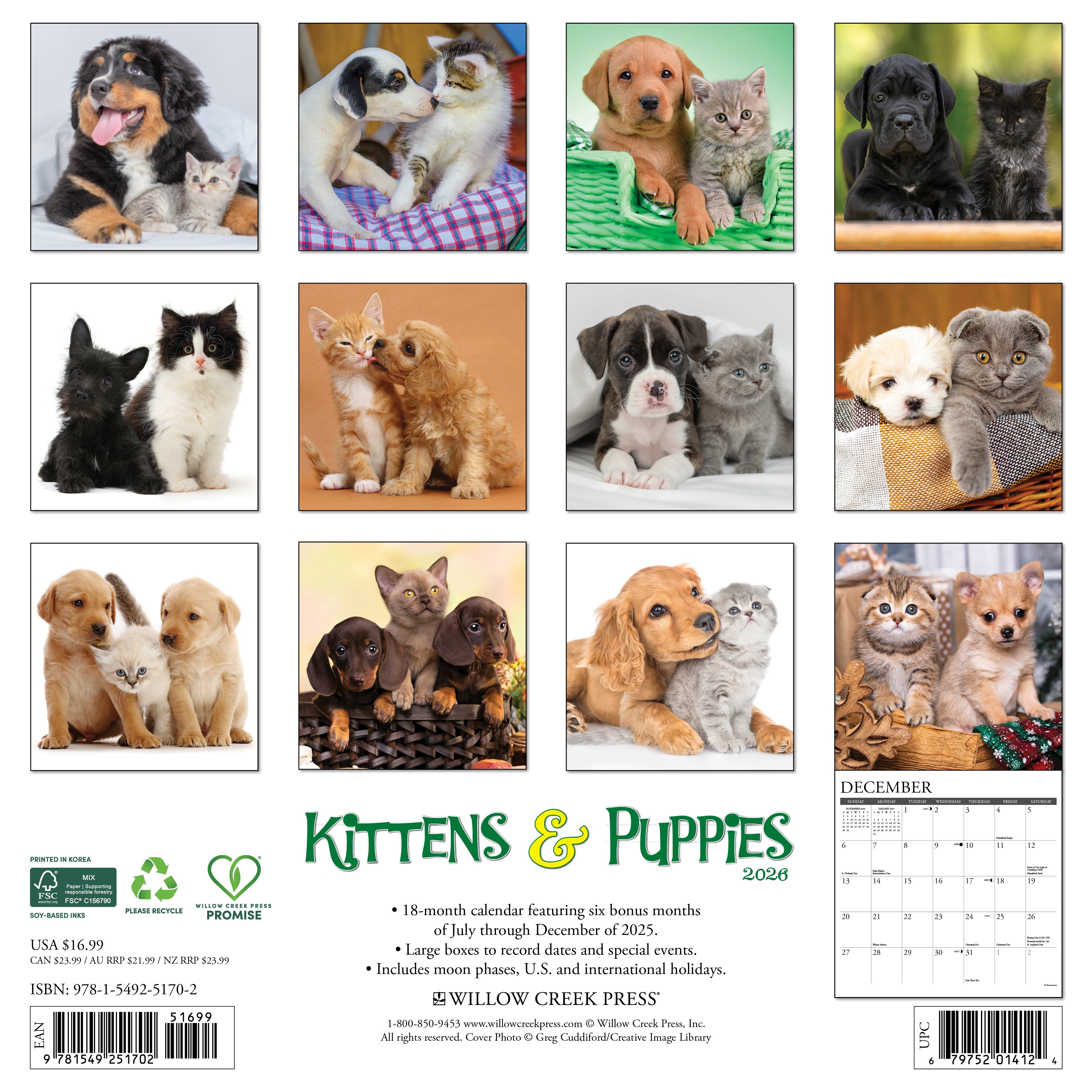 2026 Kittens & Puppies - Square Wall Calendar