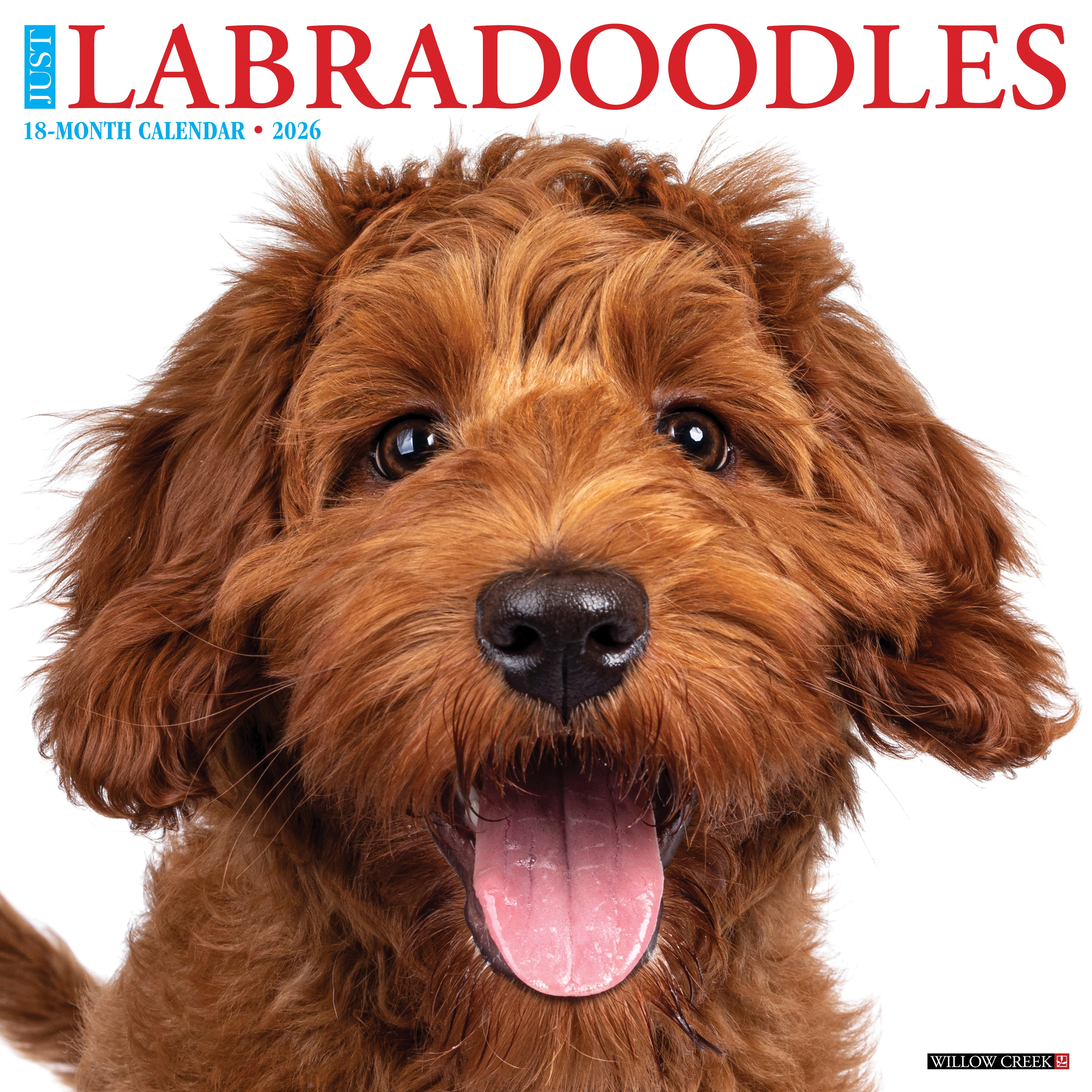 2026 Labradoodles - Square Wall Calendar