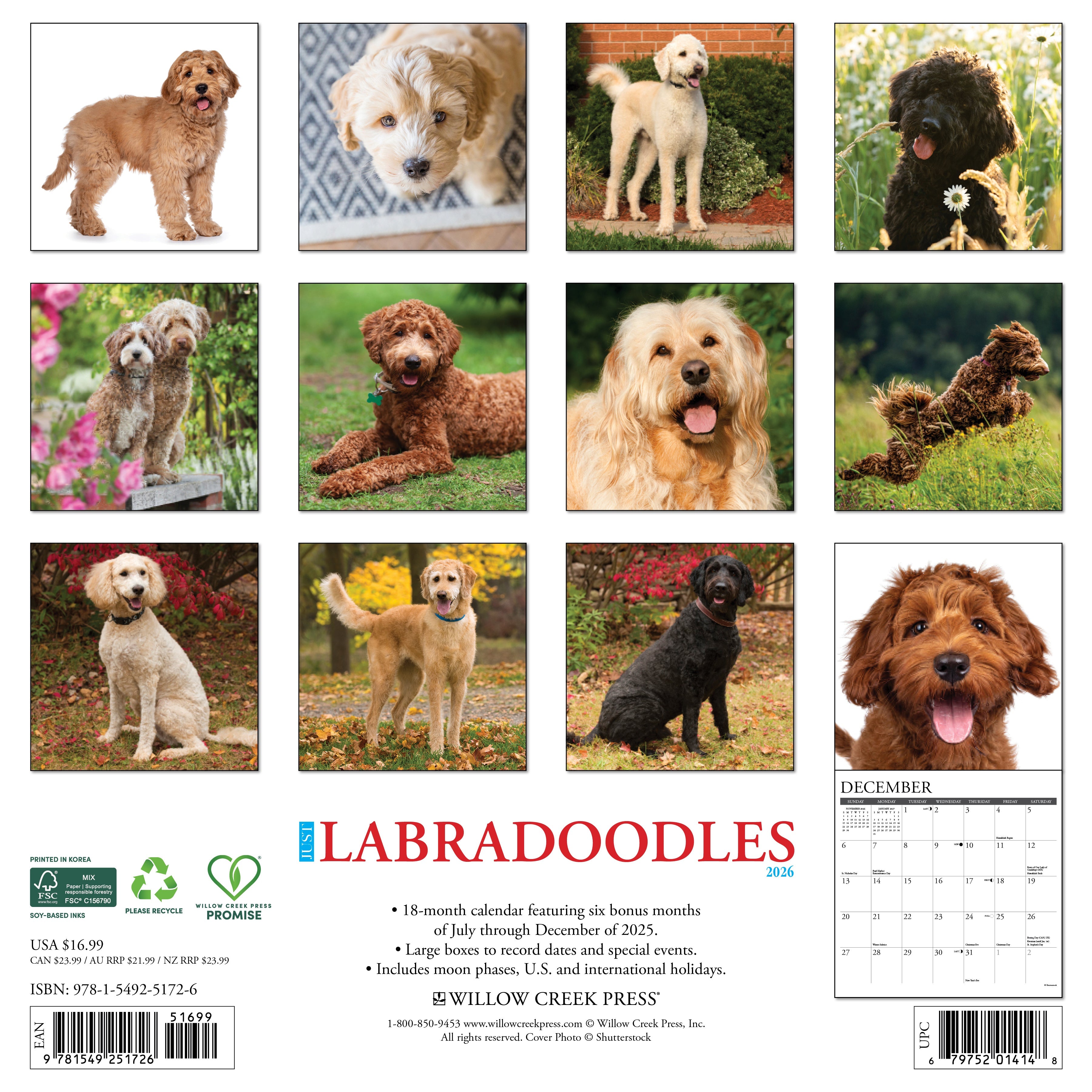 2026 Labradoodles - Square Wall Calendar