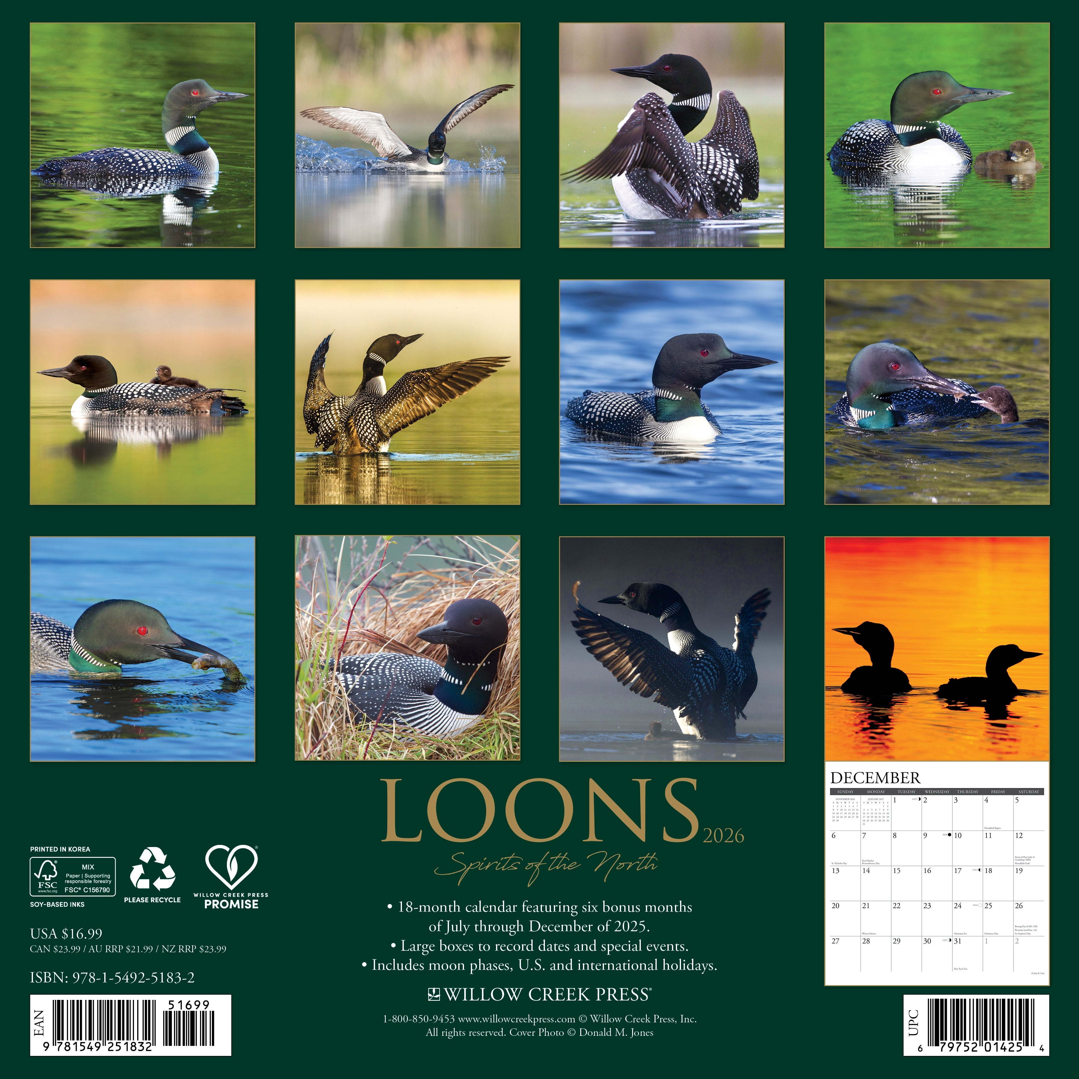 2026 Loons - Square Wall Calendar