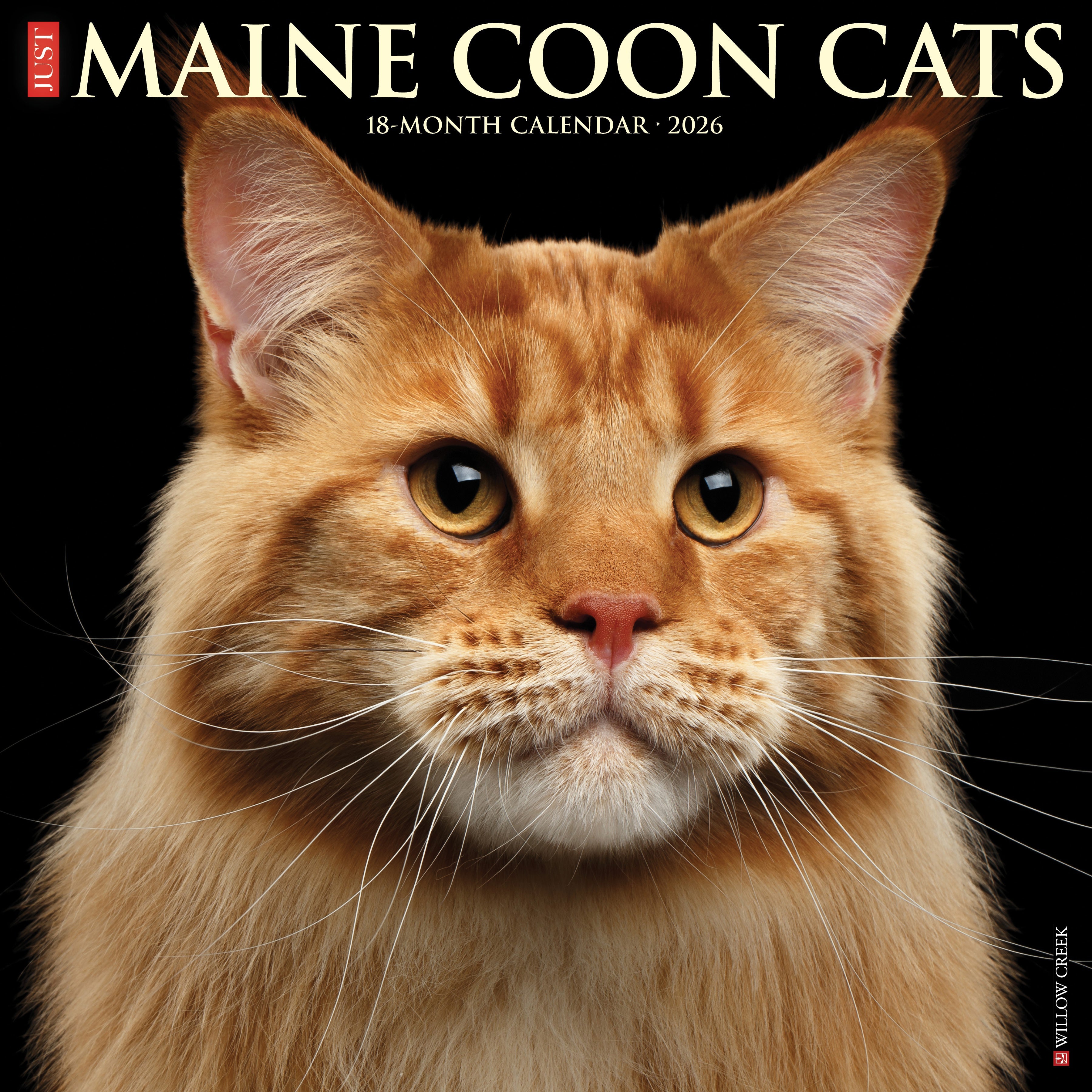 2026 Maine Coon Cats - Square Wall Calendar
