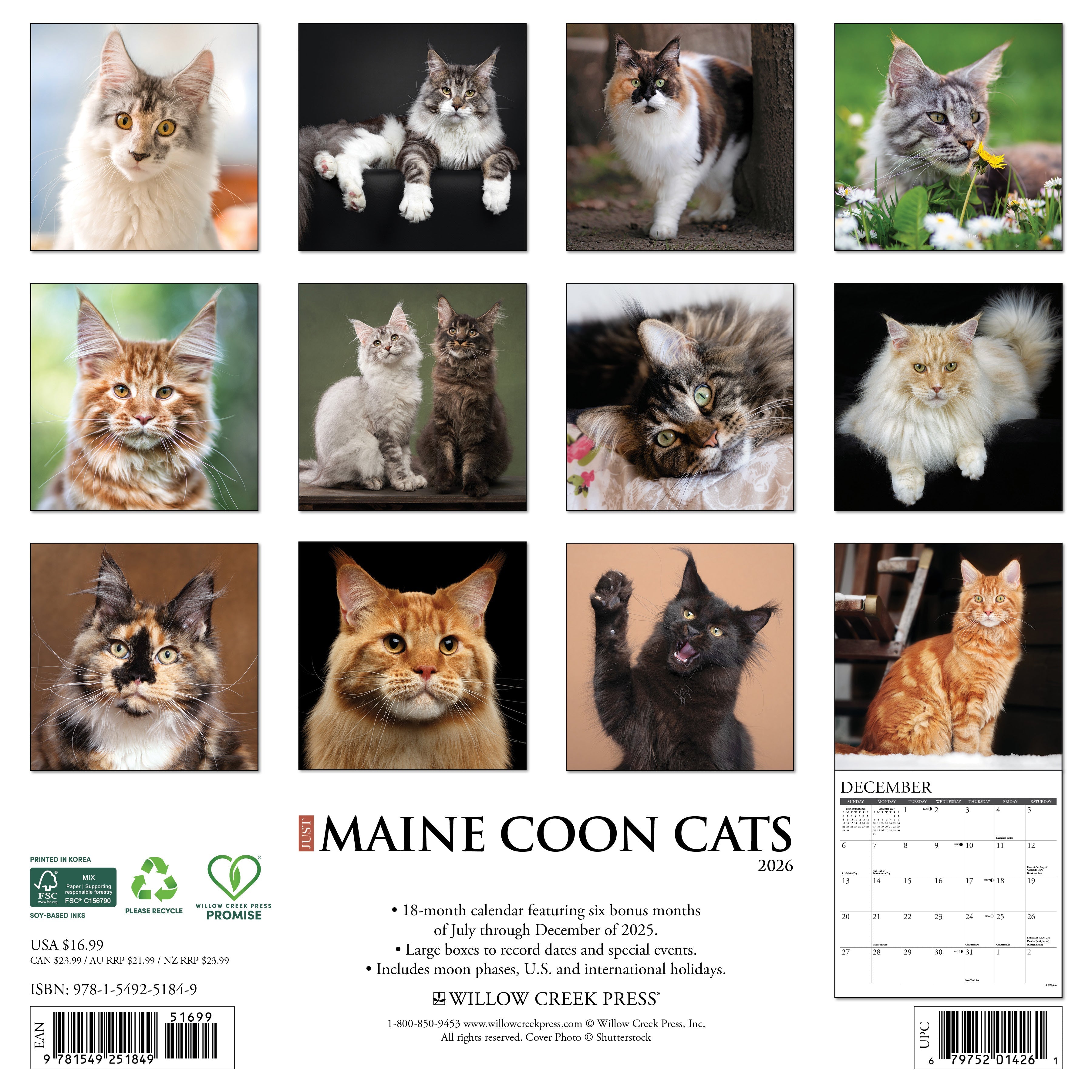 2026 Maine Coon Cats - Square Wall Calendar