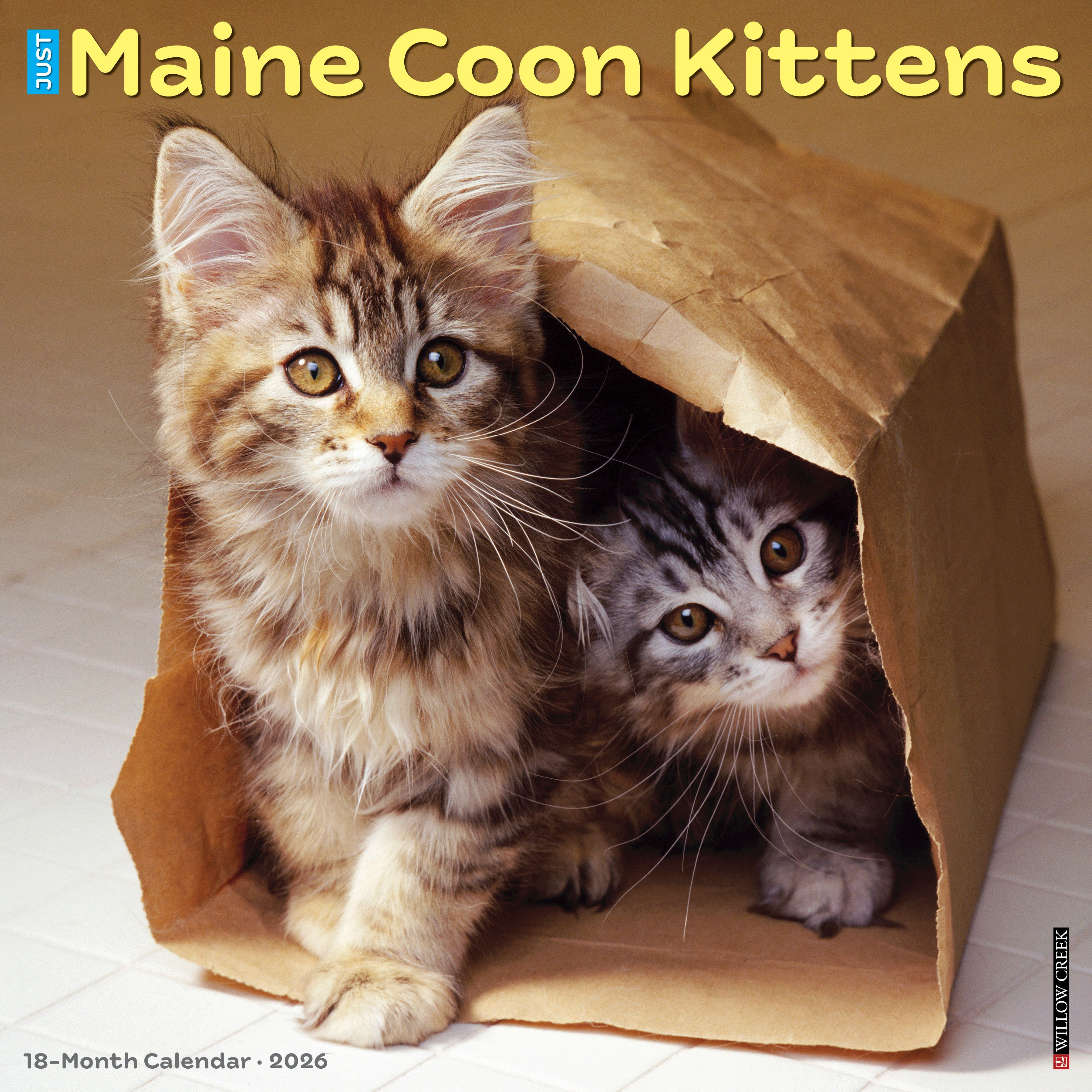 2026 Maine Coon Kittens - Square Wall Calendar