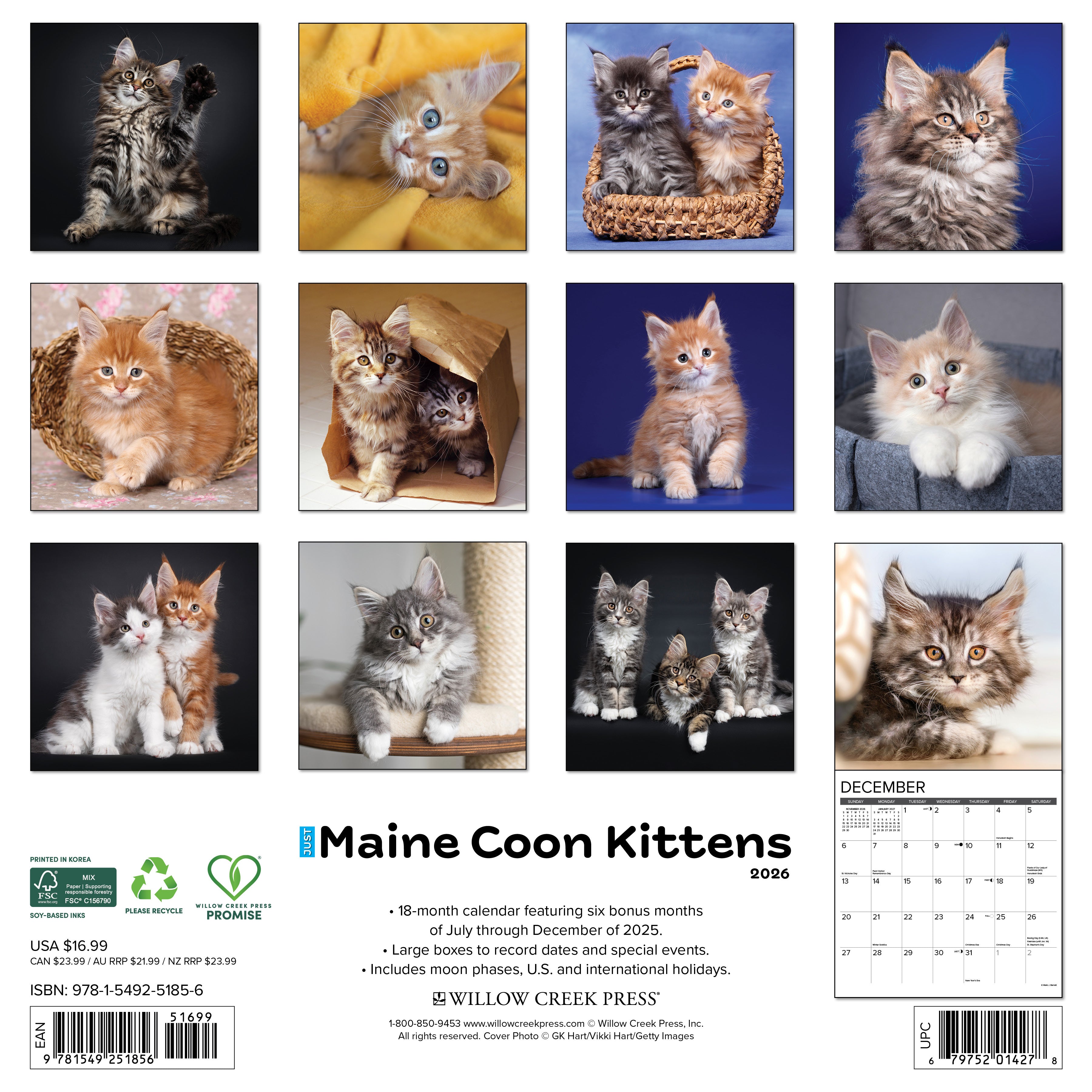 2026 Maine Coon Kittens - Square Wall Calendar