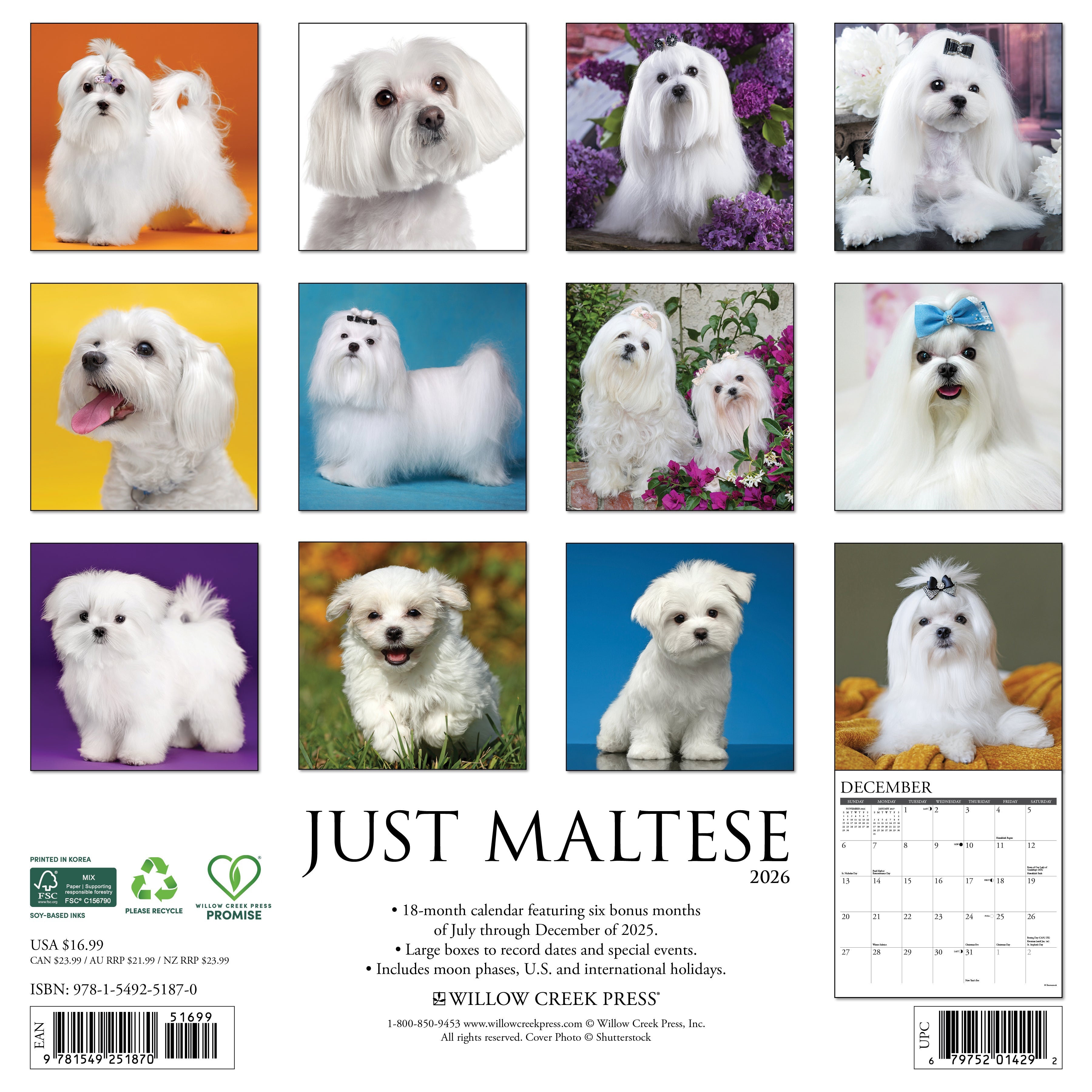 2026 Maltese - Square Wall Calendar