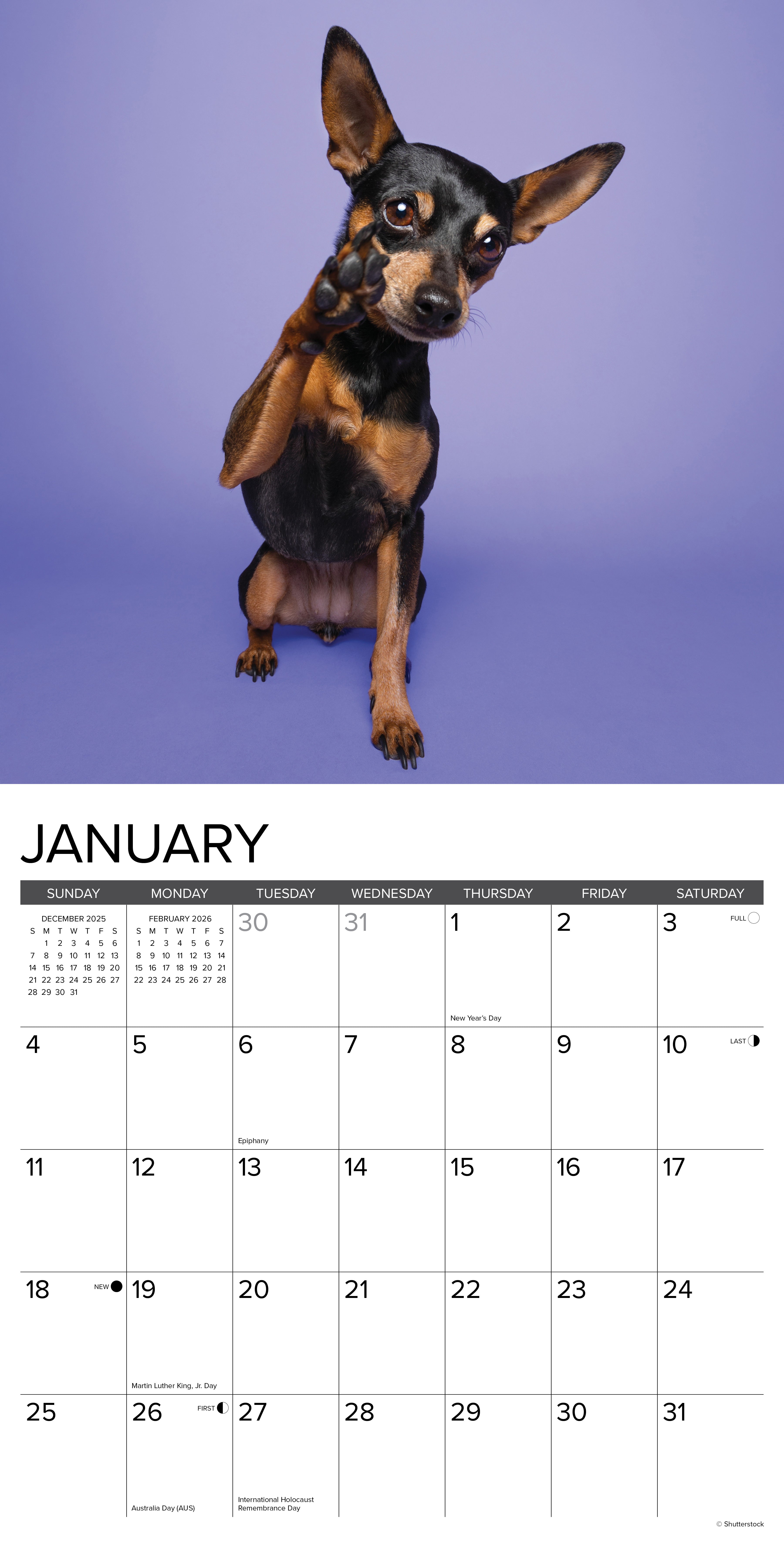 2026 Miniature Pinschers - Square Wall Calendar