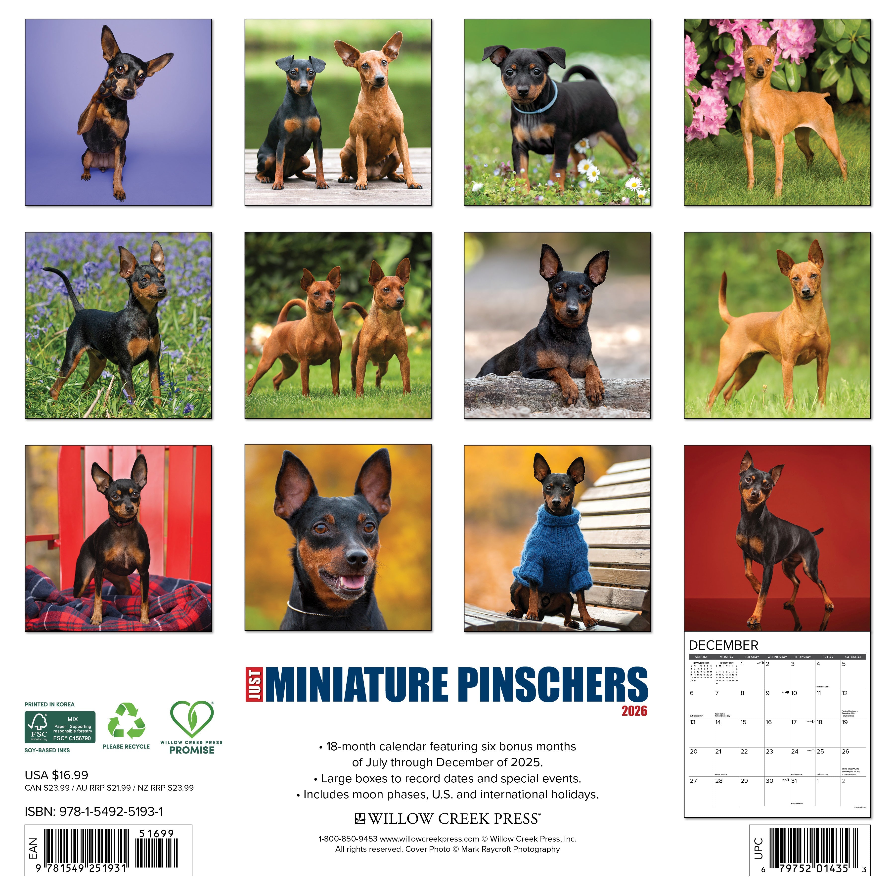 2026 Miniature Pinschers - Square Wall Calendar