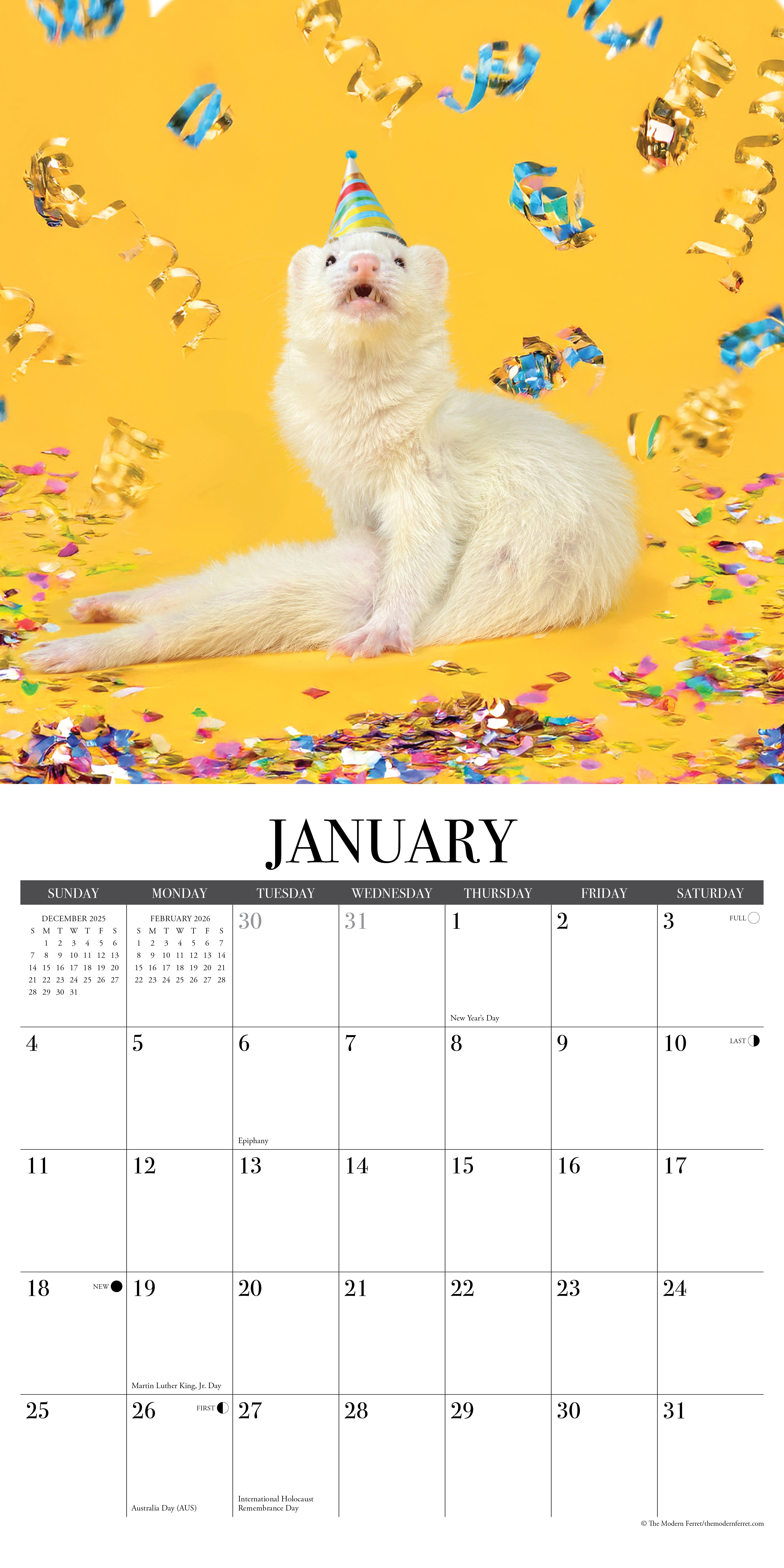 2026 The Modern Ferret - Square Wall Calendar