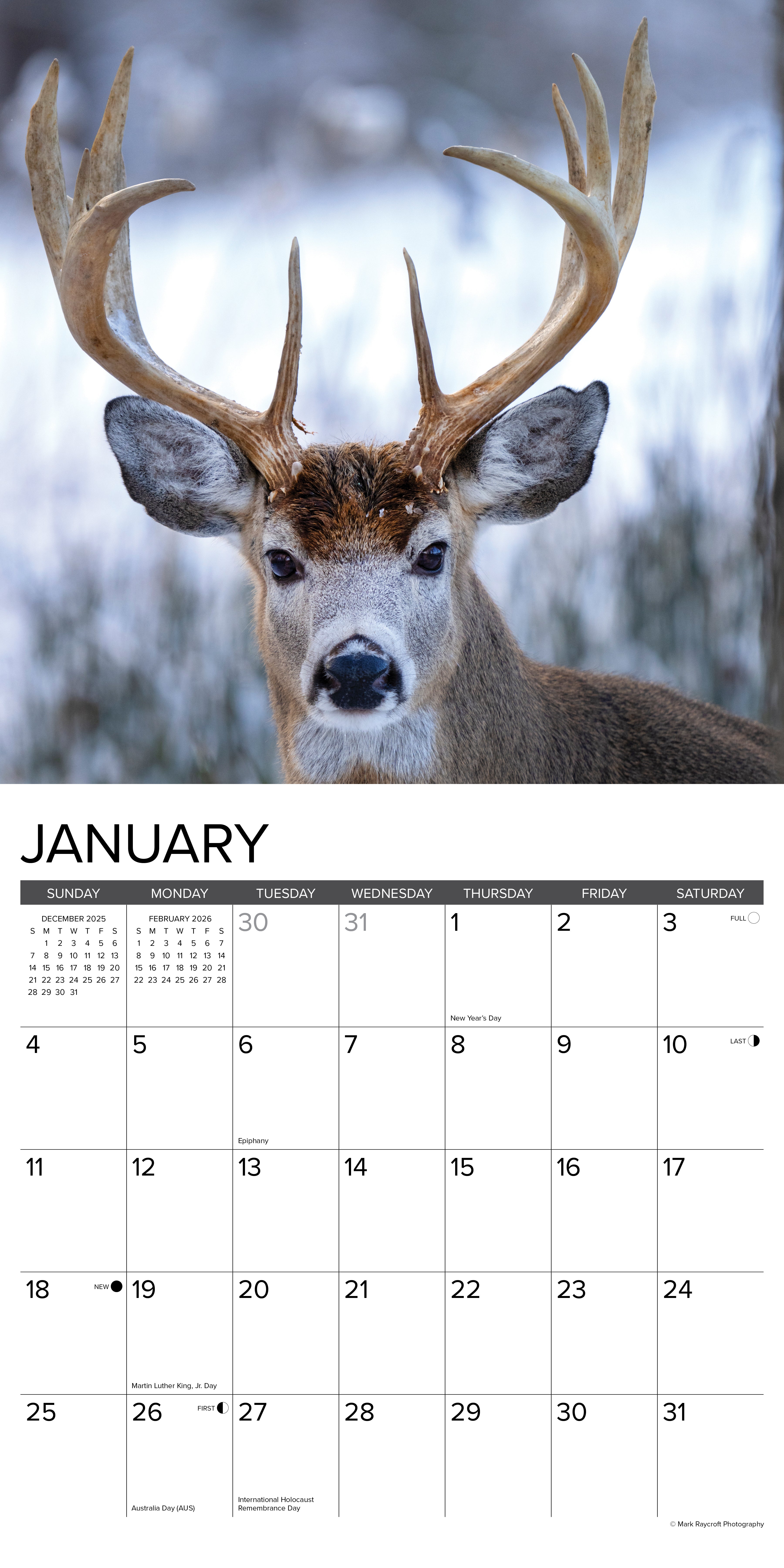 2026 Monster Bucks - Square Wall Calendar