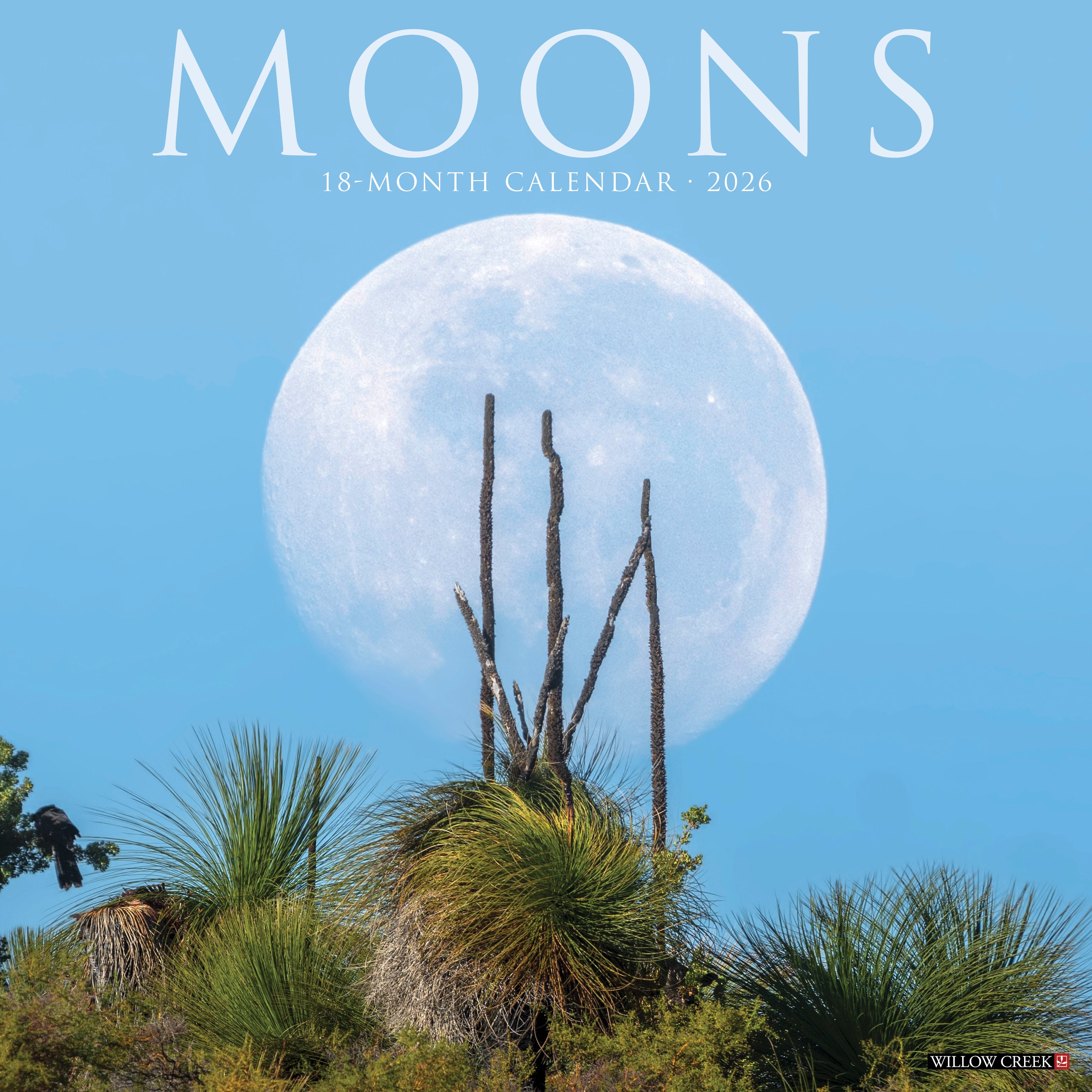 2026 Moons - Square Wall Calendar