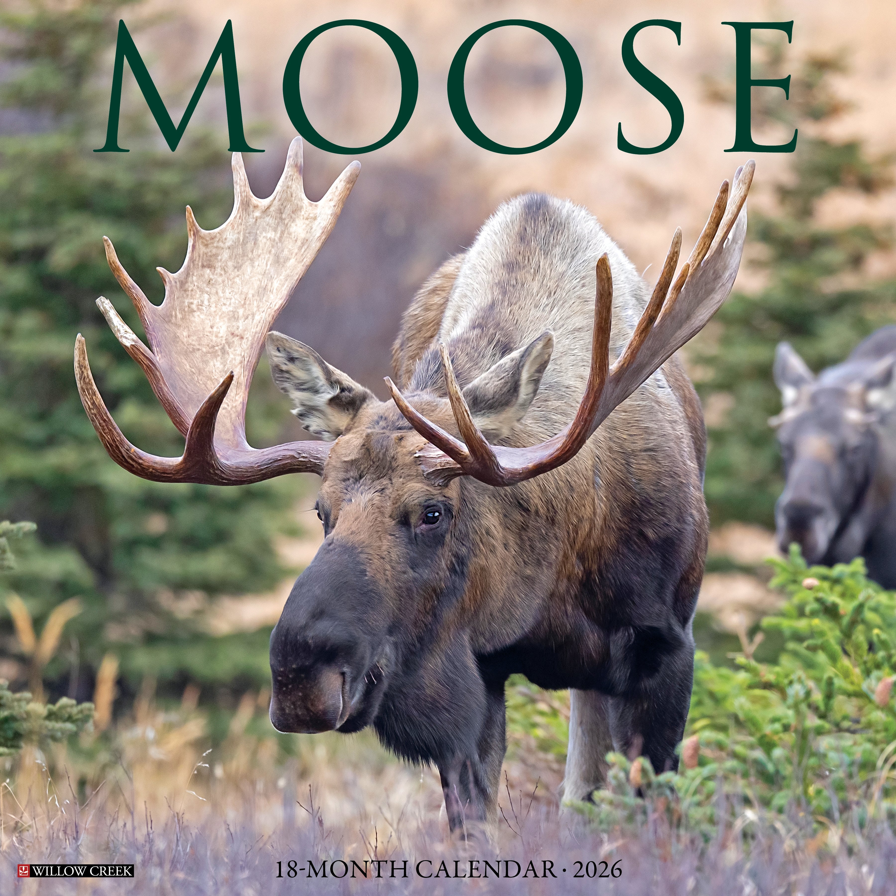 2026 Moose - Square Wall Calendar