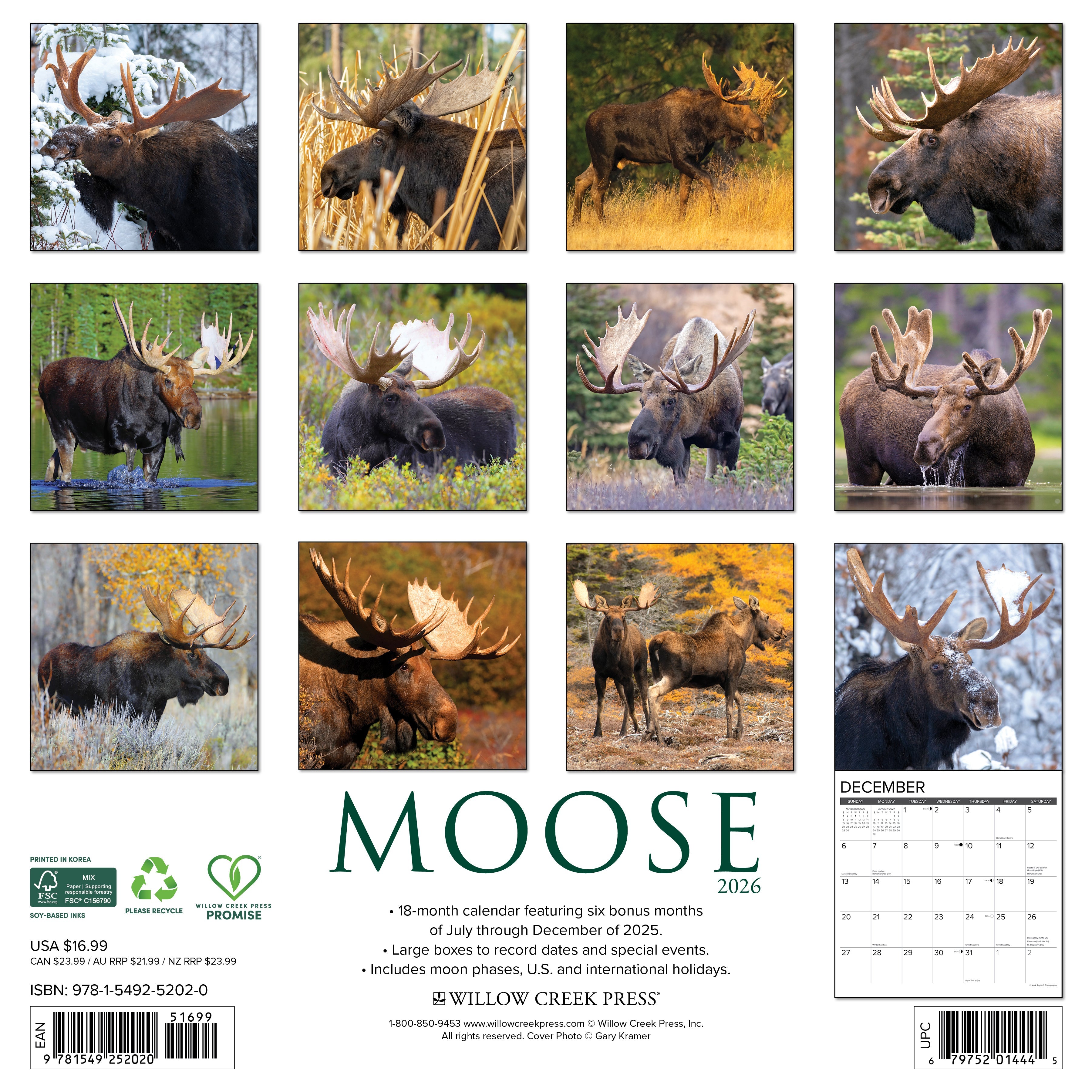 2026 Moose - Square Wall Calendar