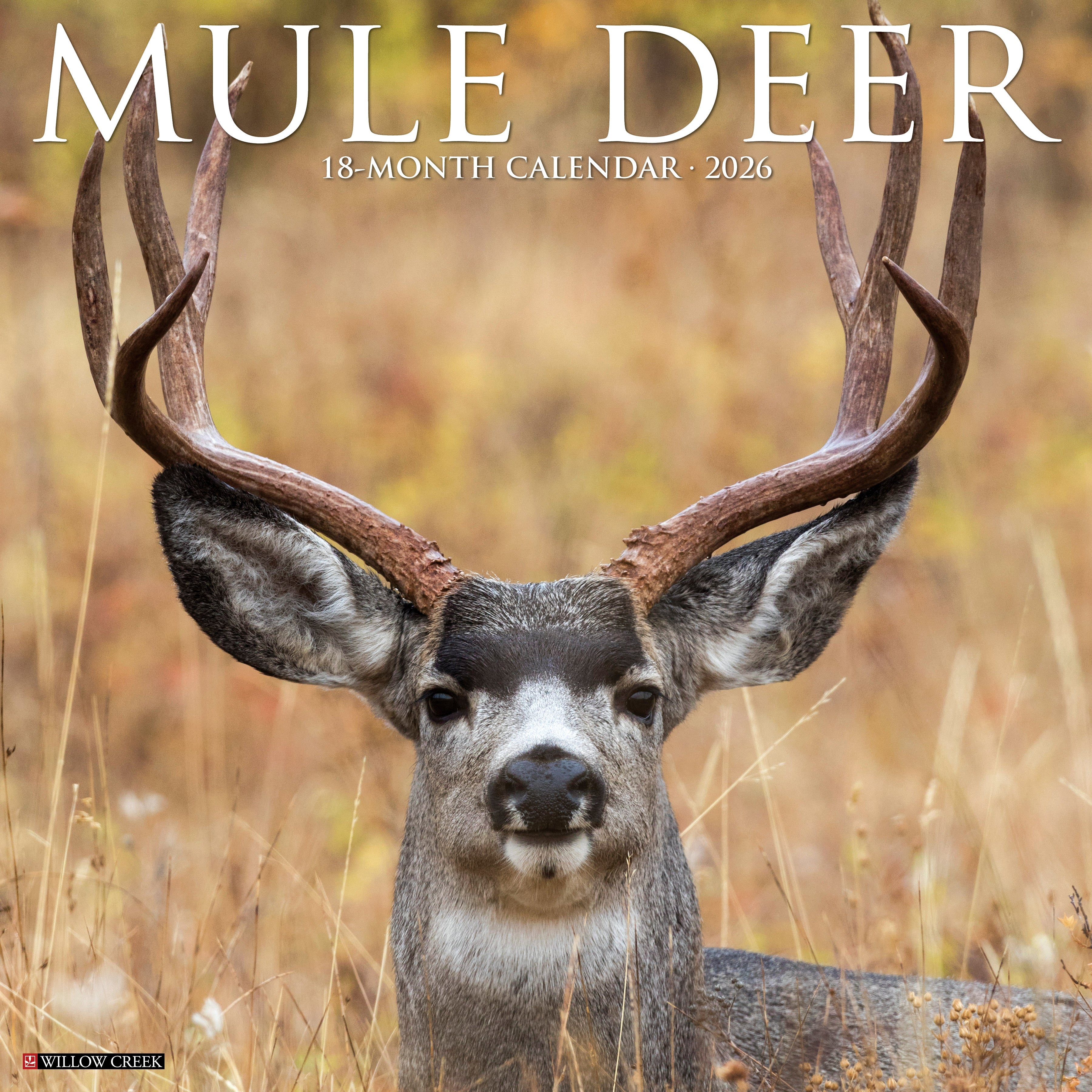 2026 Mule Deer - Square Wall Calendar