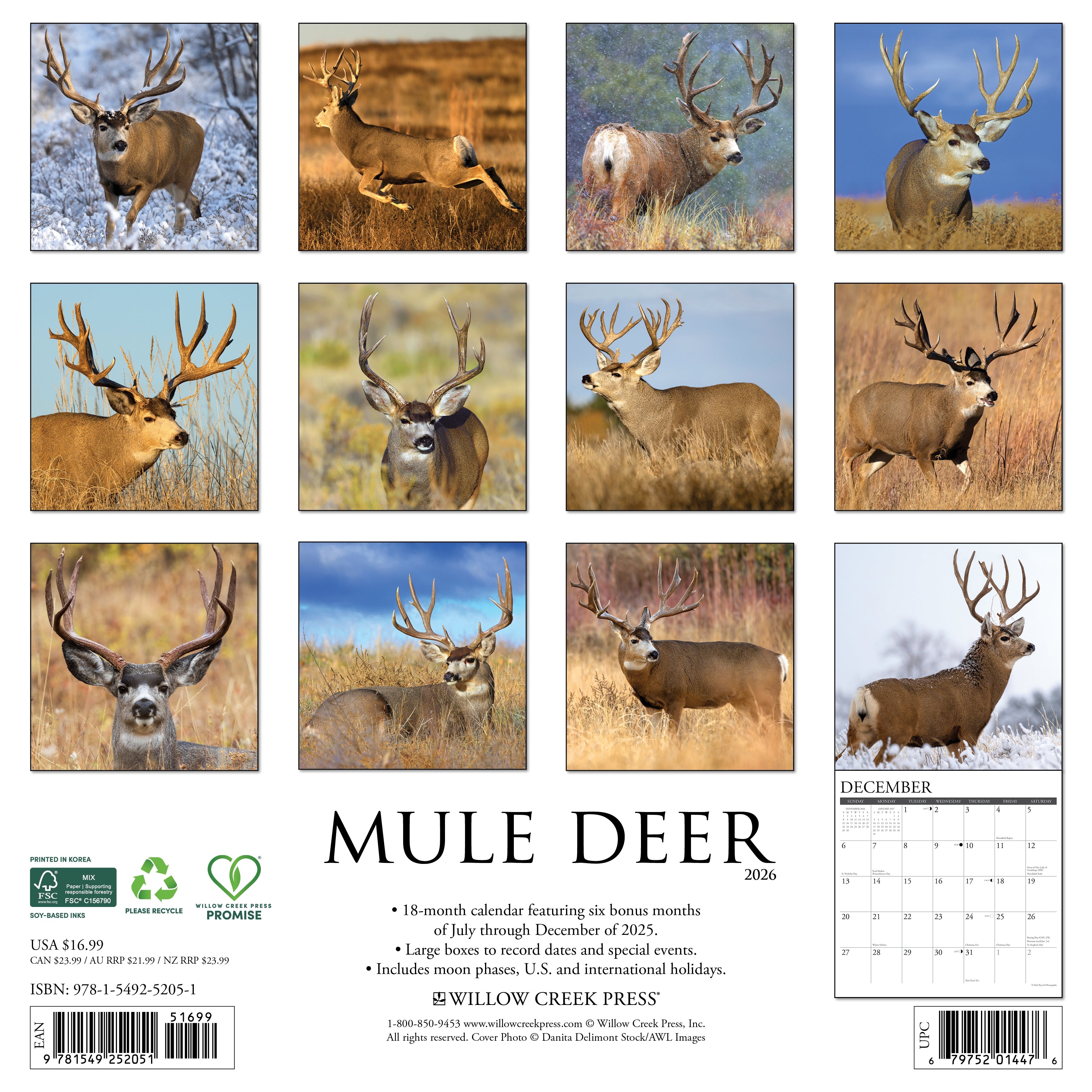 2026 Mule Deer - Square Wall Calendar