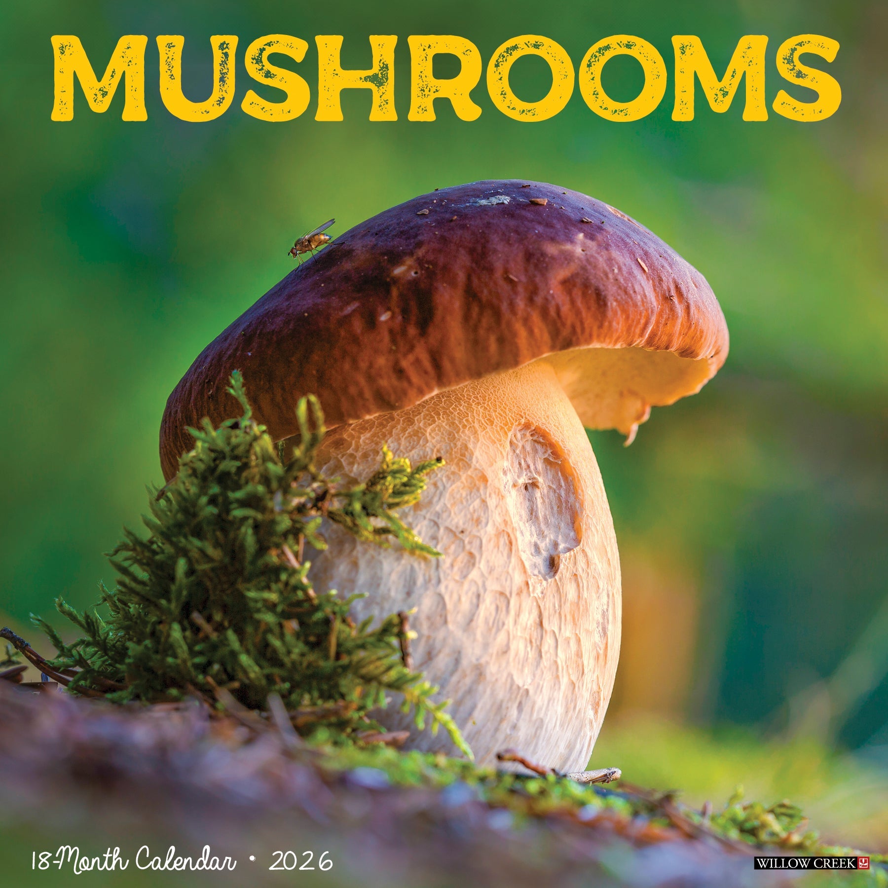 2026 Mushrooms - Square Wall Calendar